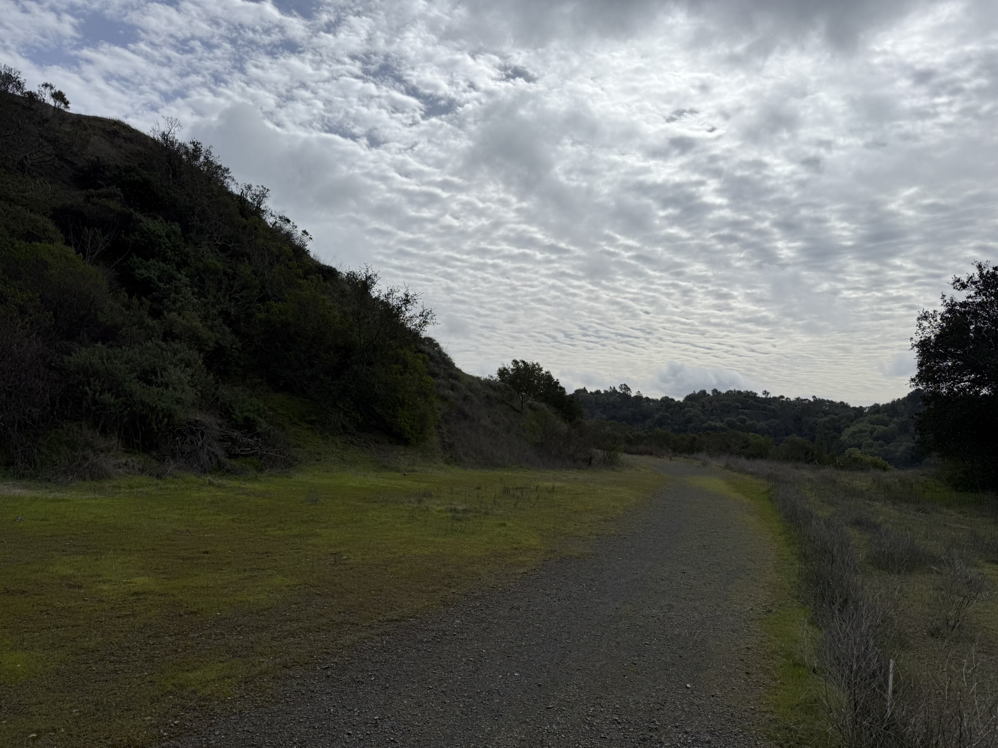 Sibley Volcanic Regional Preserve