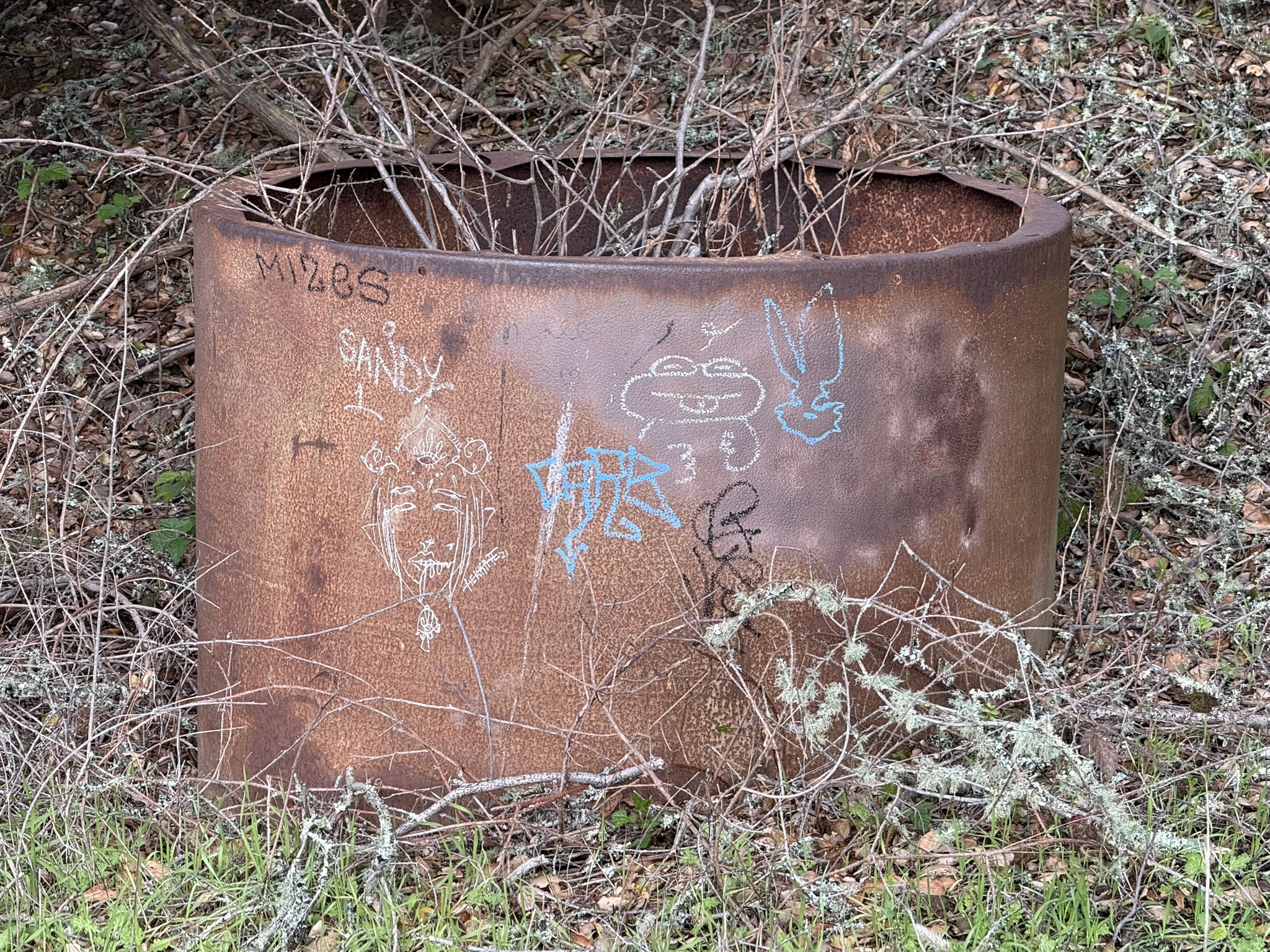 Sibley Volcanic Regional Preserve