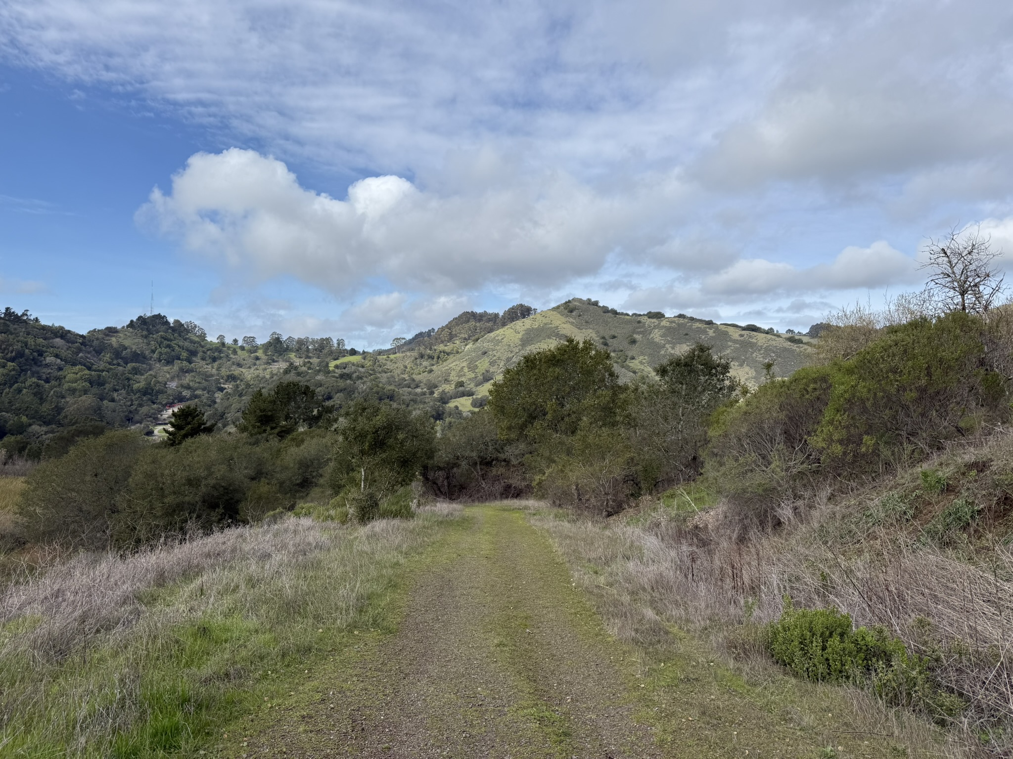 Sibley Volcanic Regional Preserve