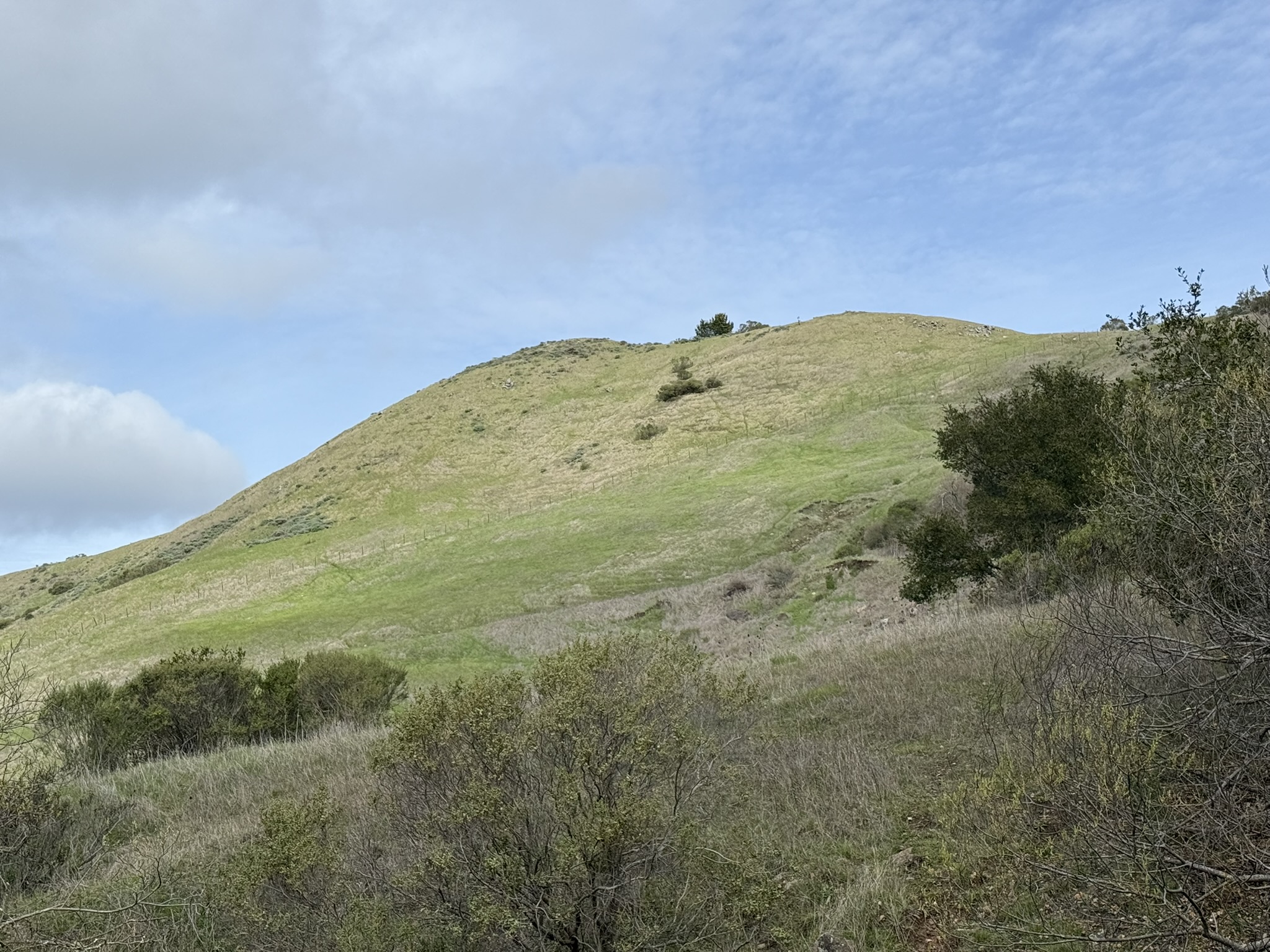 Sibley Volcanic Regional Preserve