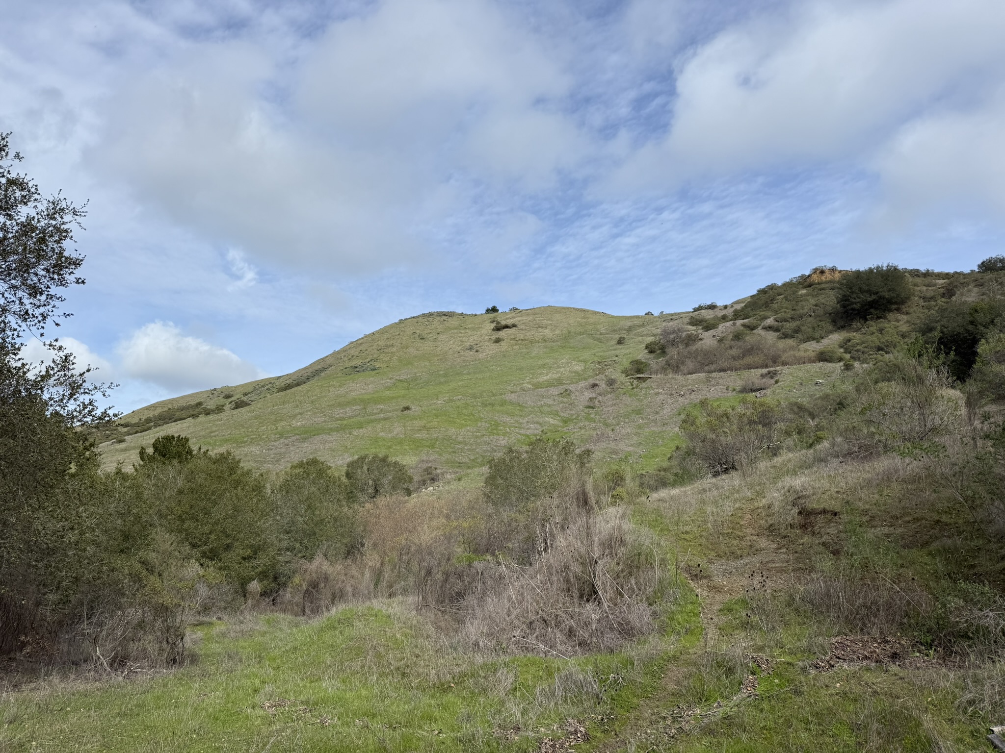 Sibley Volcanic Regional Preserve