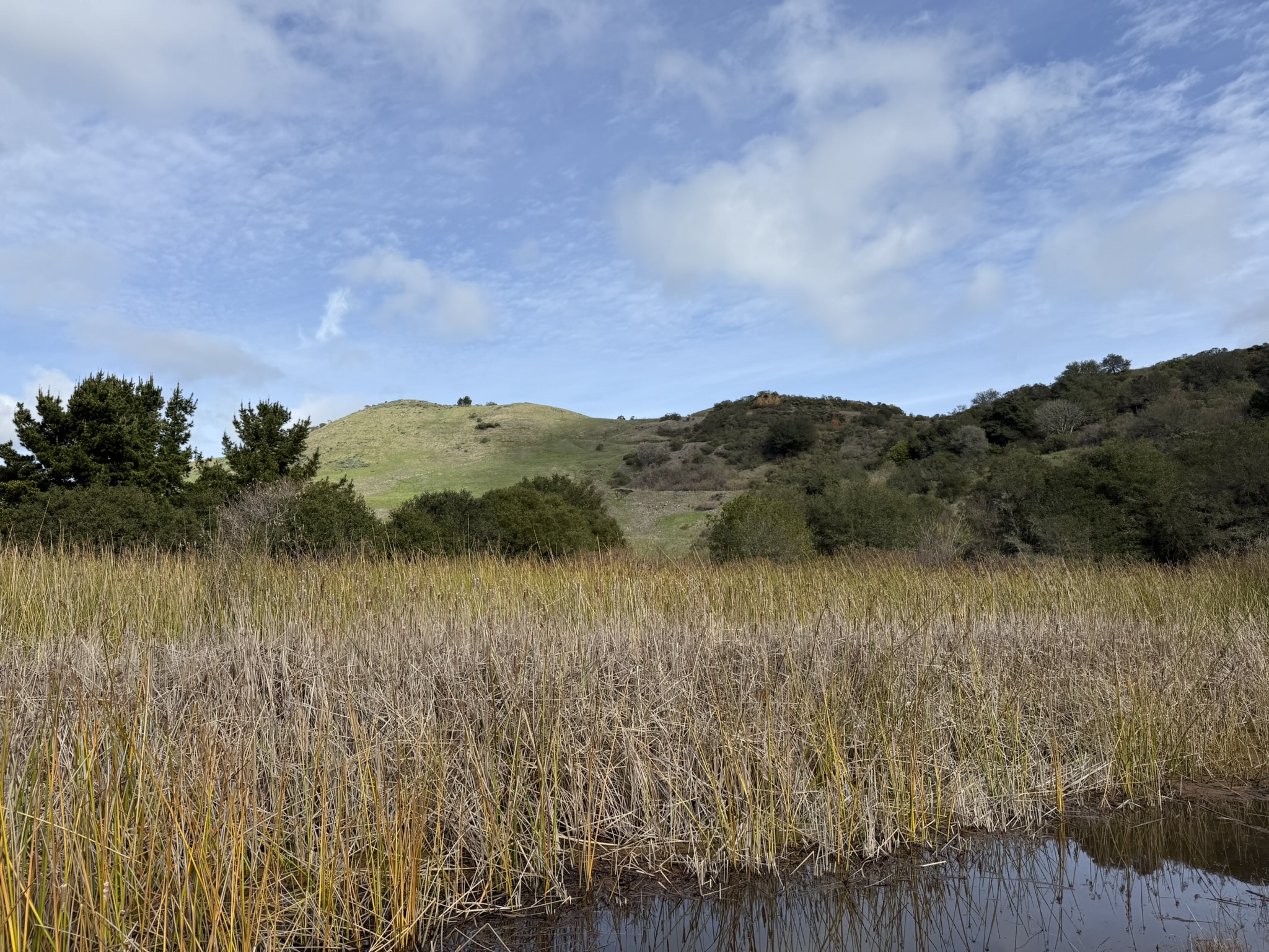 Sibley Volcanic Regional Preserve