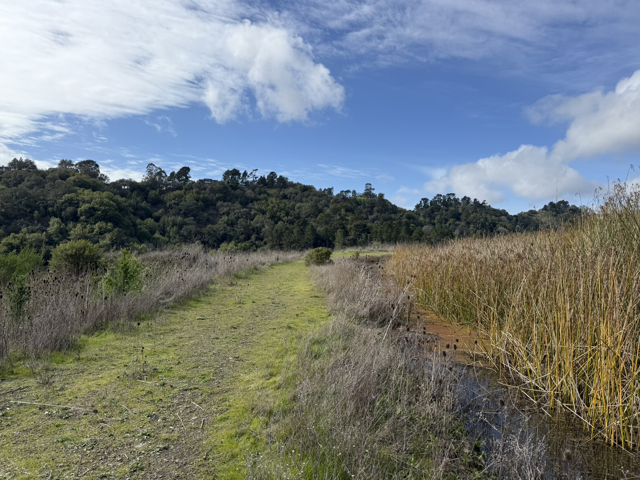 Sibley Volcanic Regional Preserve