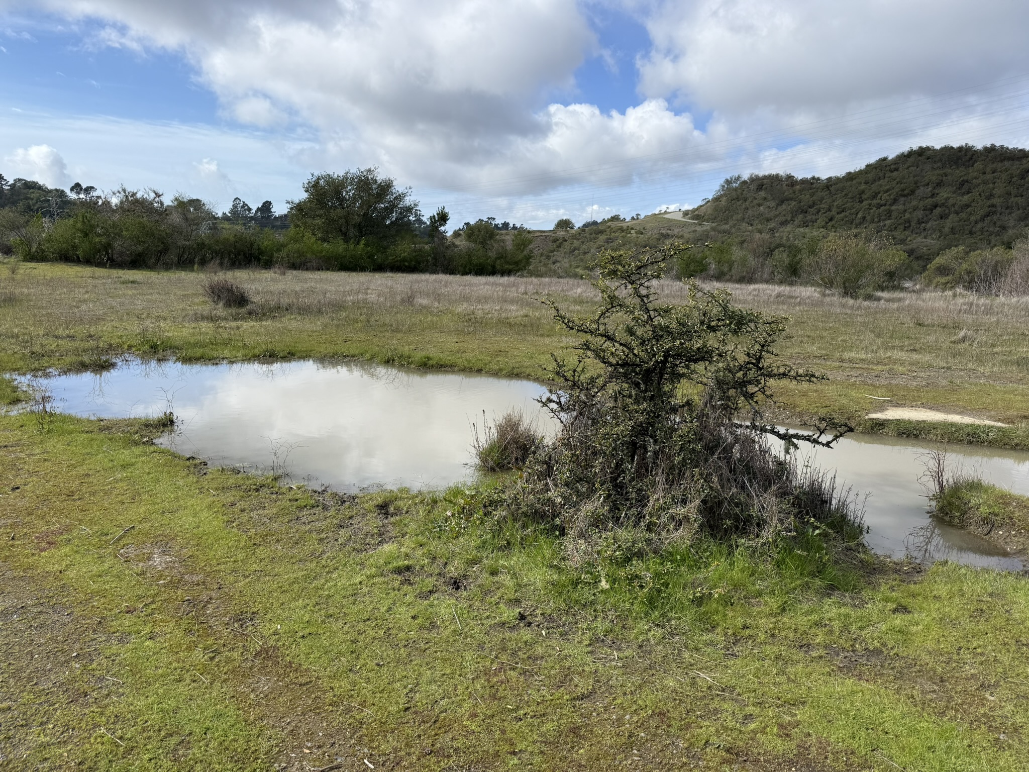 Sibley Volcanic Regional Preserve