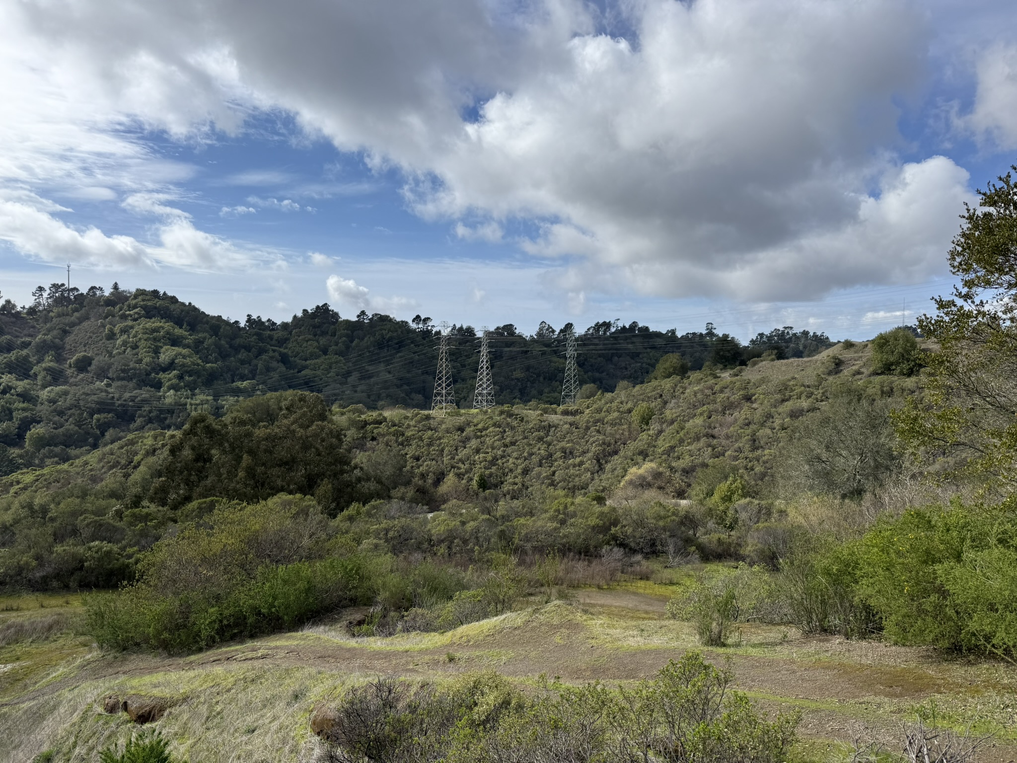 Sibley Volcanic Regional Preserve