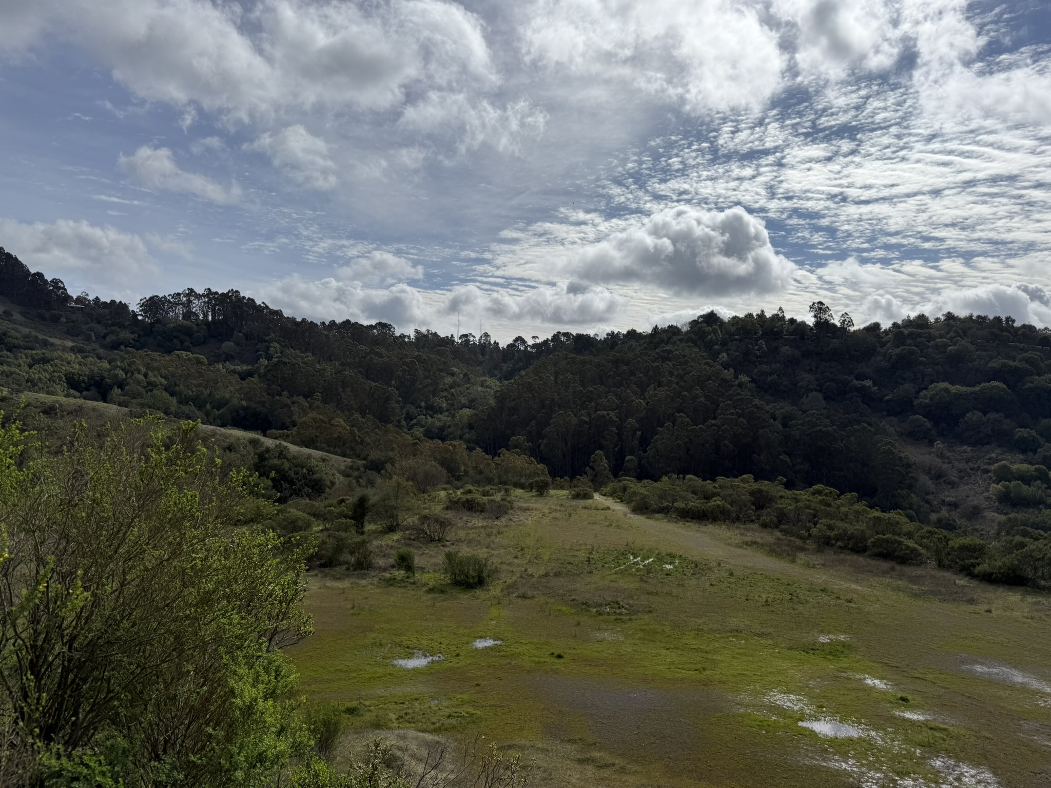 Sibley Volcanic Regional Preserve