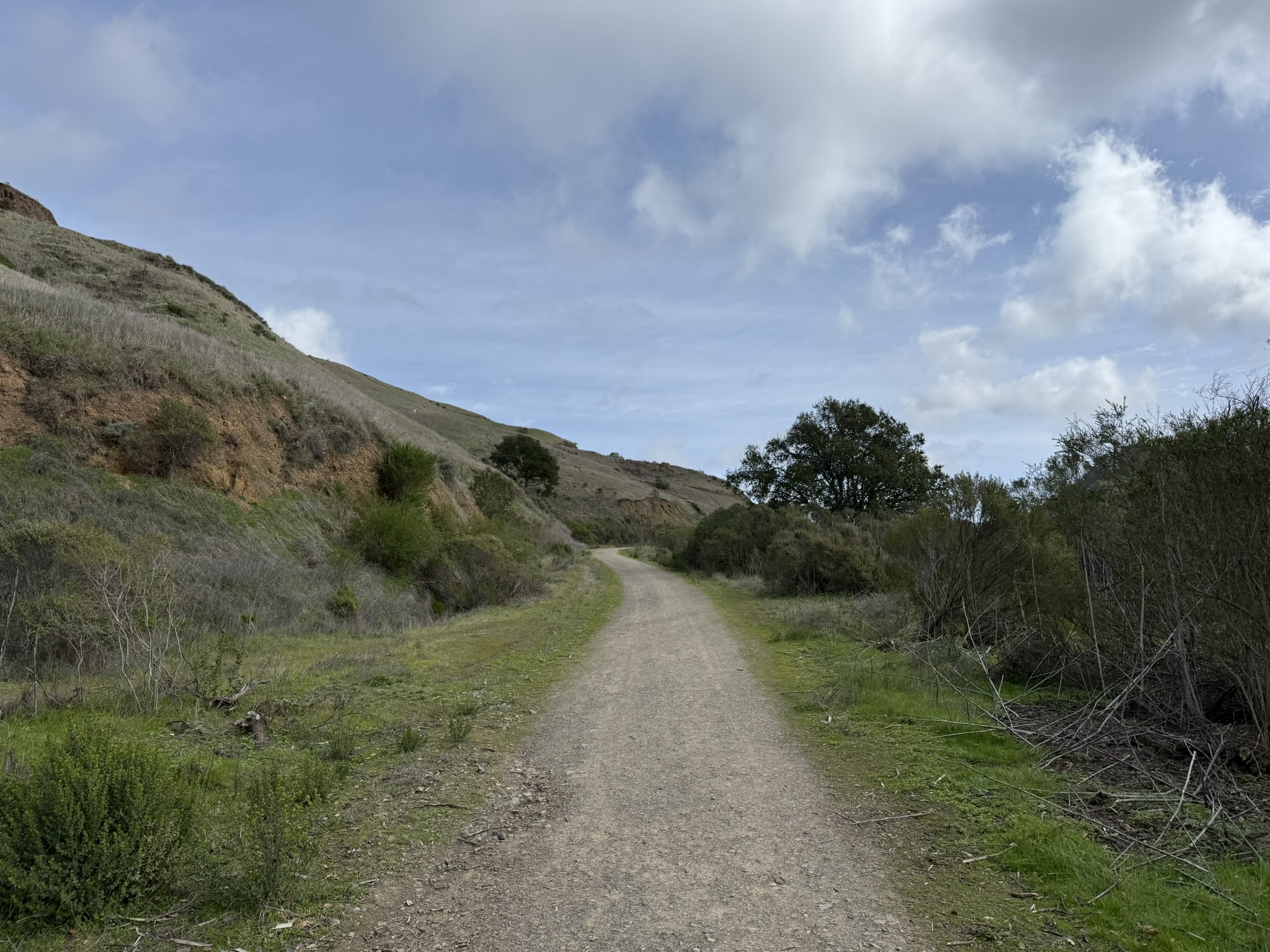 Sibley Volcanic Regional Preserve