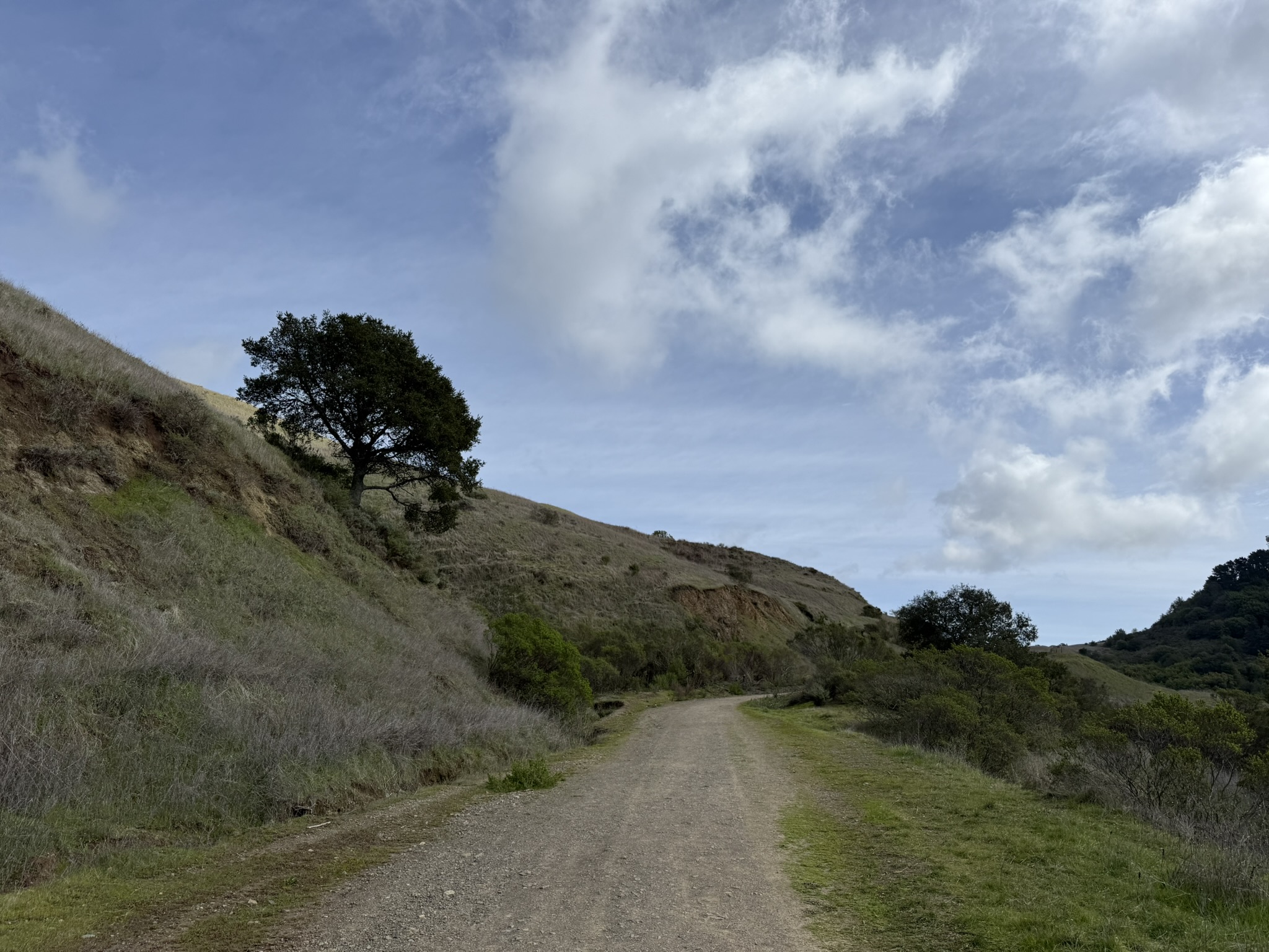 Sibley Volcanic Regional Preserve