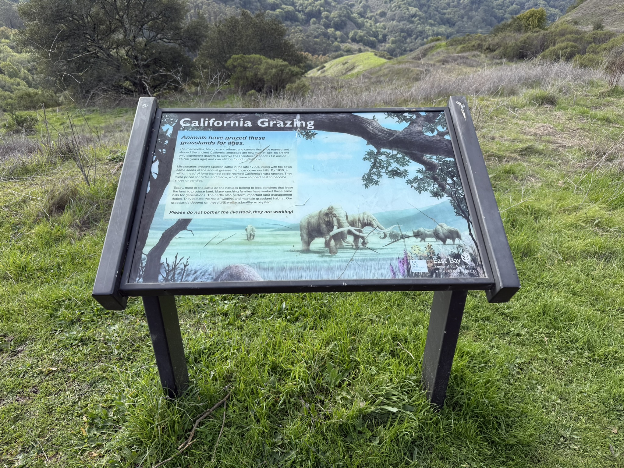 Sibley Volcanic Regional Preserve