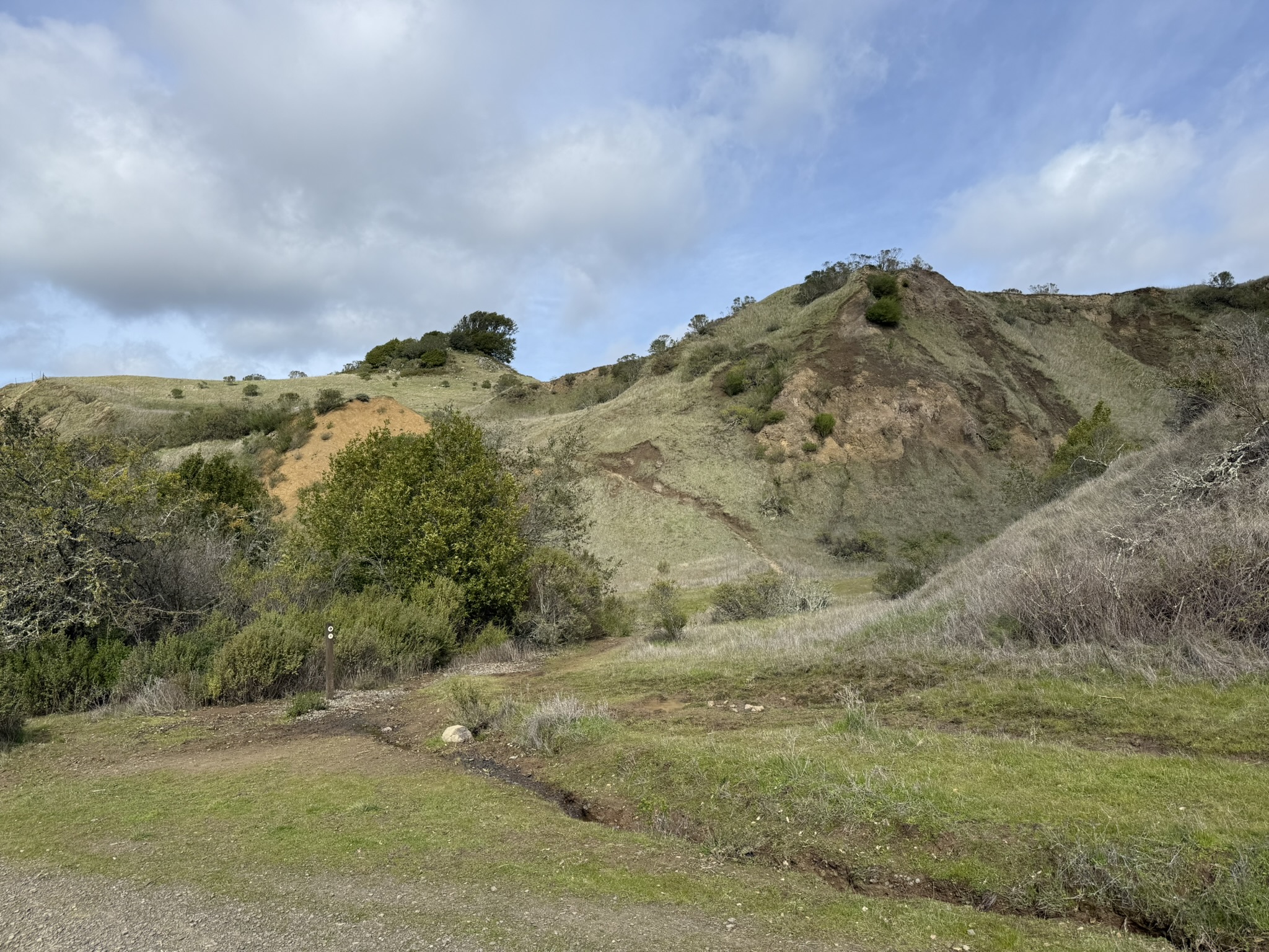 Sibley Volcanic Regional Preserve