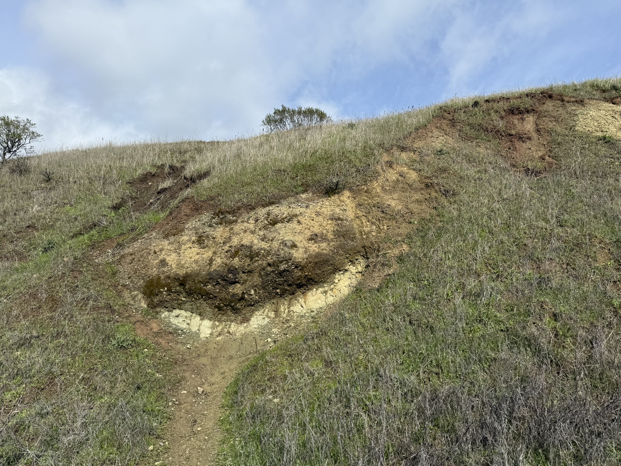 Sibley Volcanic Regional Preserve