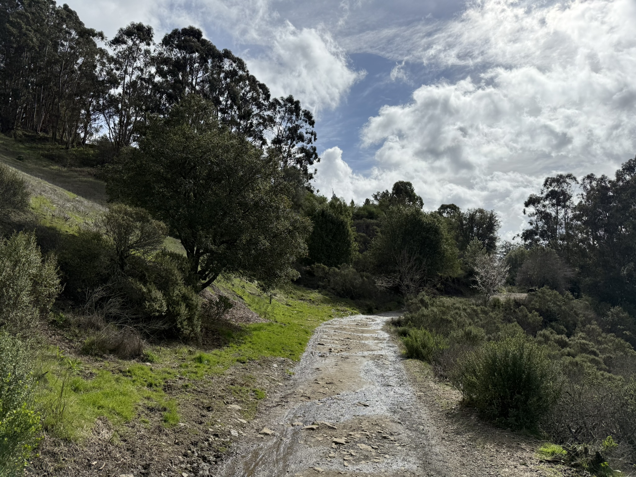 Sibley Volcanic Regional Preserve