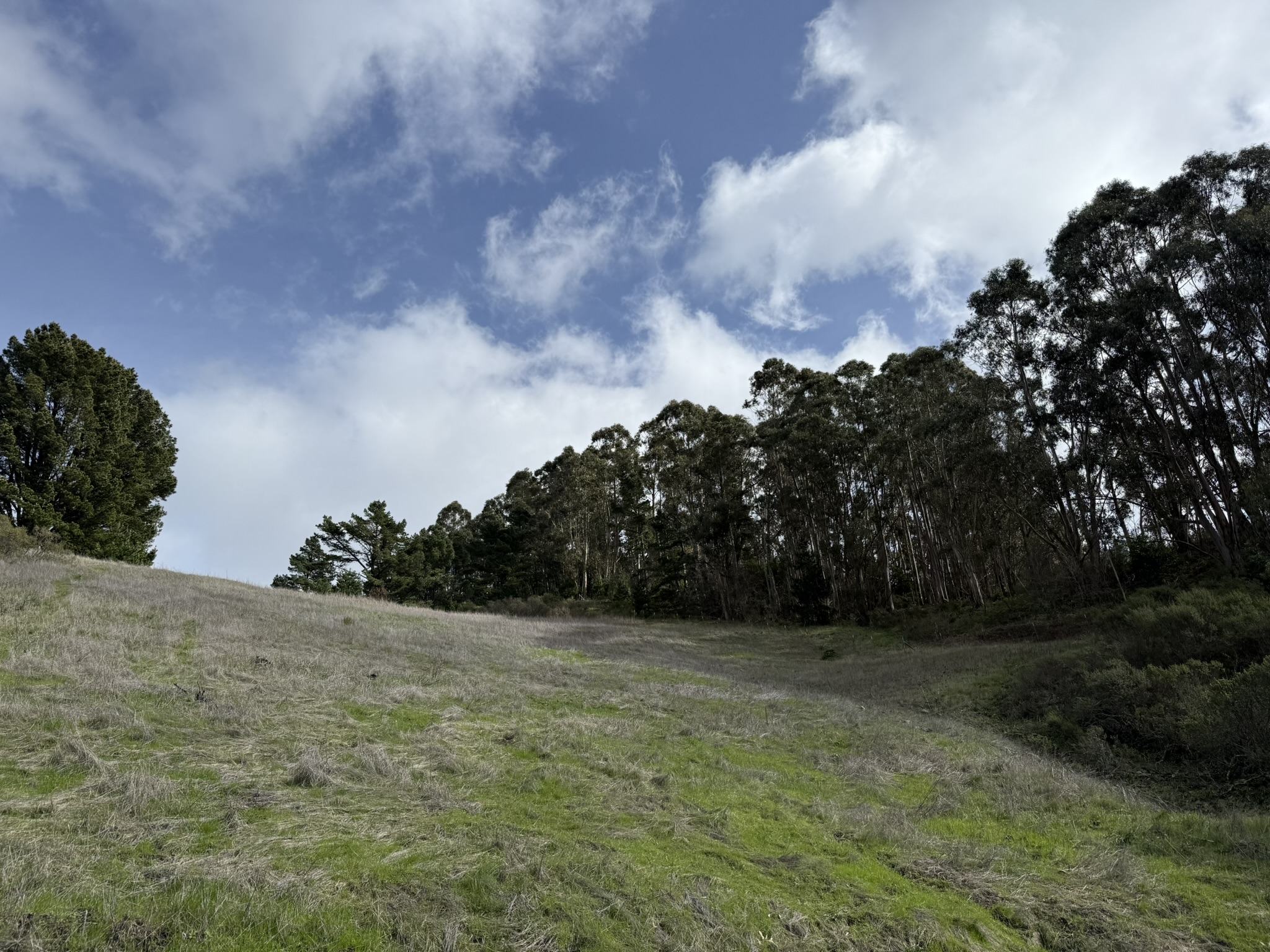 Sibley Volcanic Regional Preserve