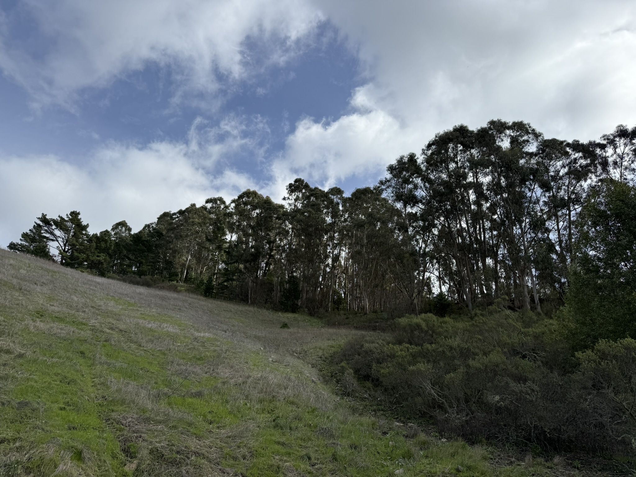 Sibley Volcanic Regional Preserve