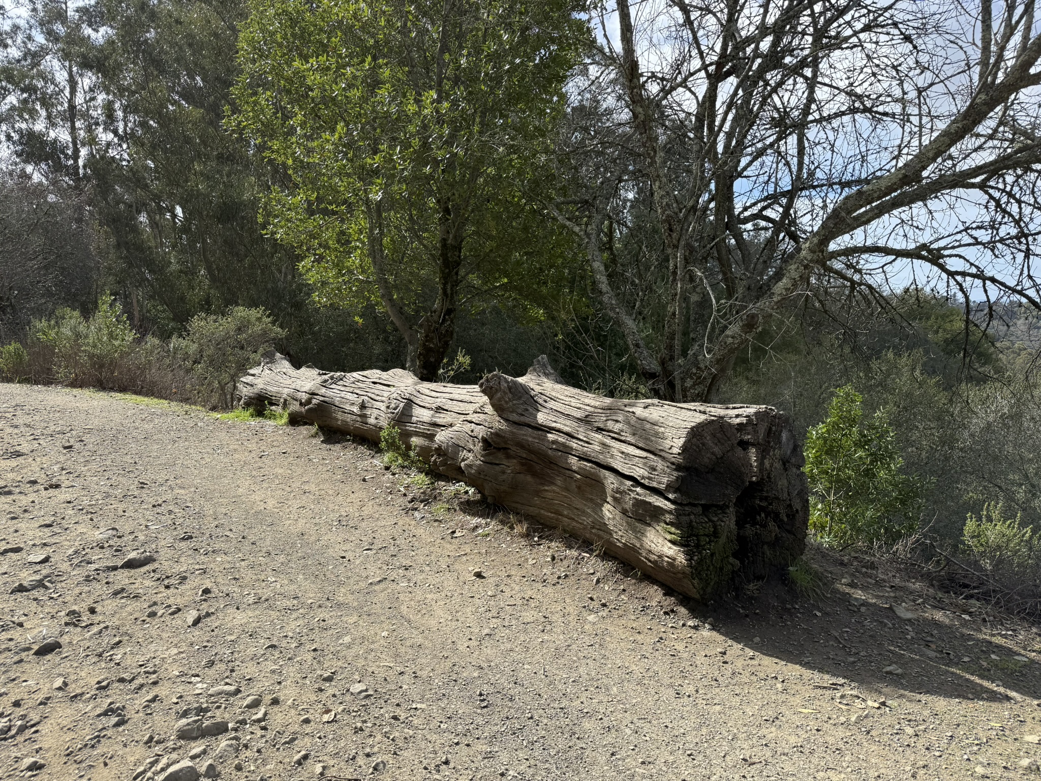 Sibley Volcanic Regional Preserve