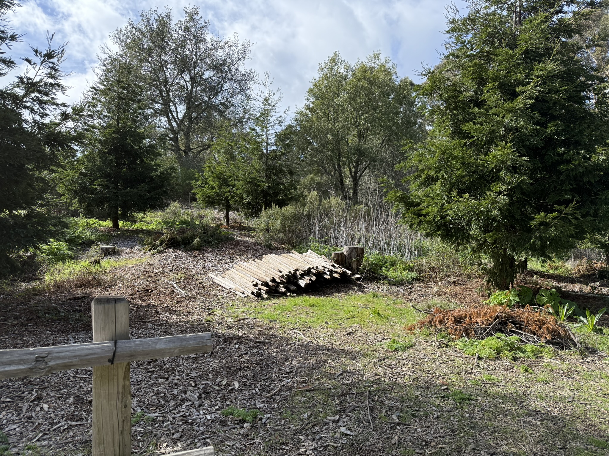 Sibley Volcanic Regional Preserve