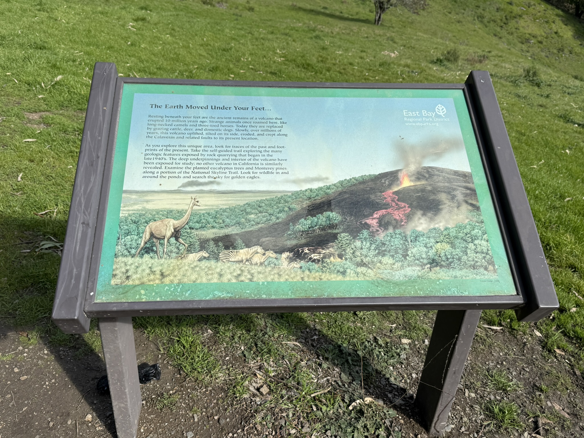 Sibley Volcanic Regional Preserve