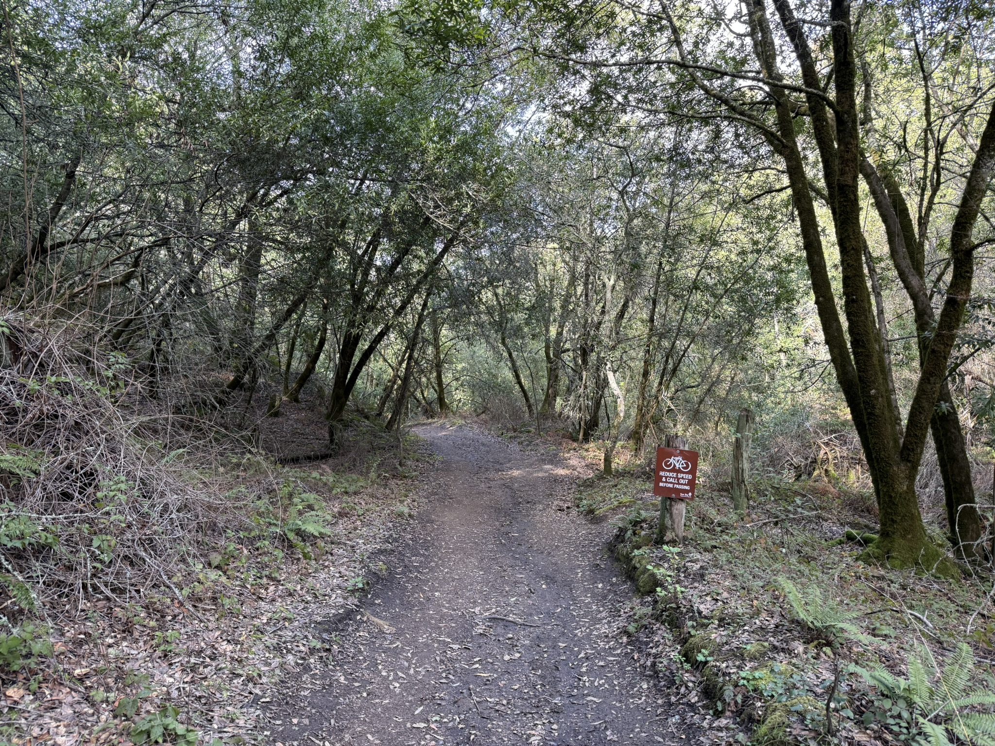 Sibley Volcanic Regional Preserve