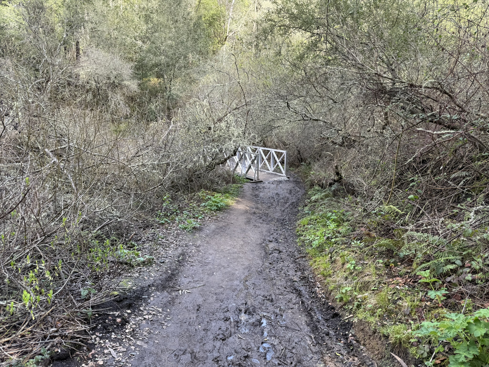 Sibley Volcanic Regional Preserve