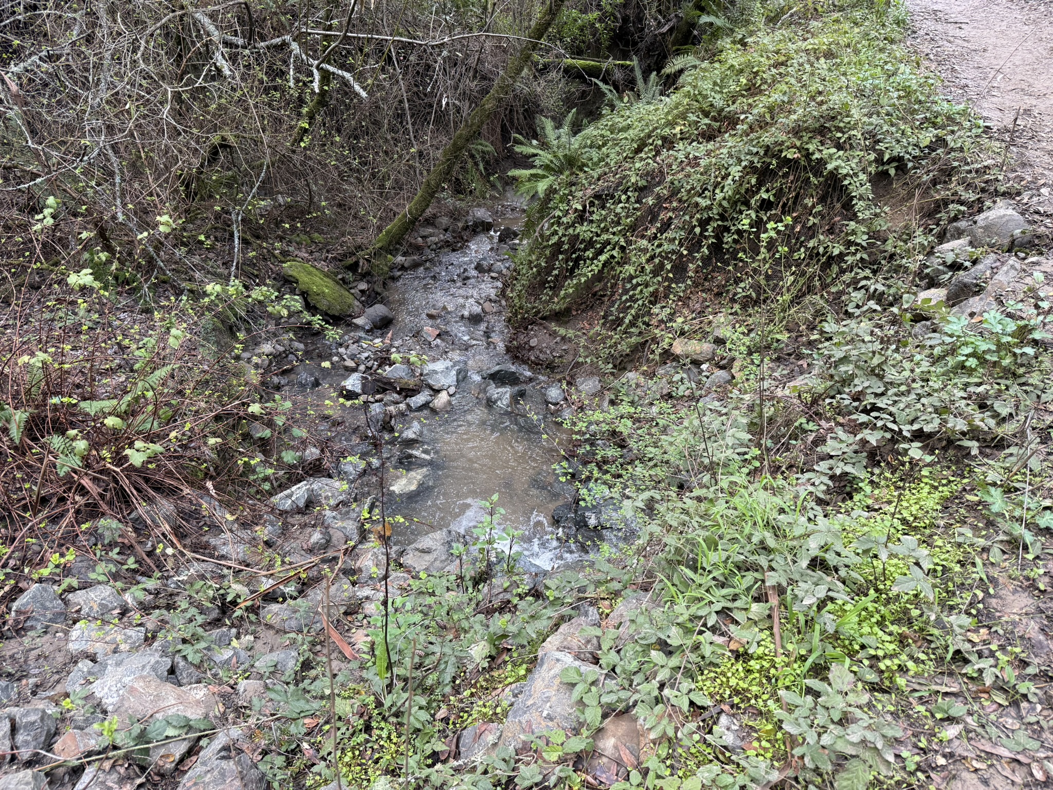 Sibley Volcanic Regional Preserve