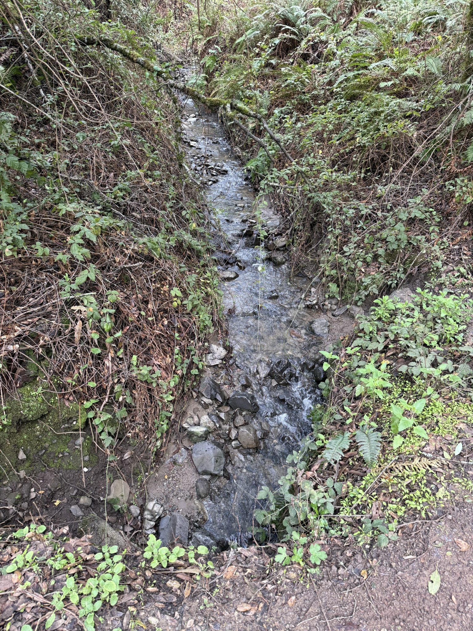 Sibley Volcanic Regional Preserve