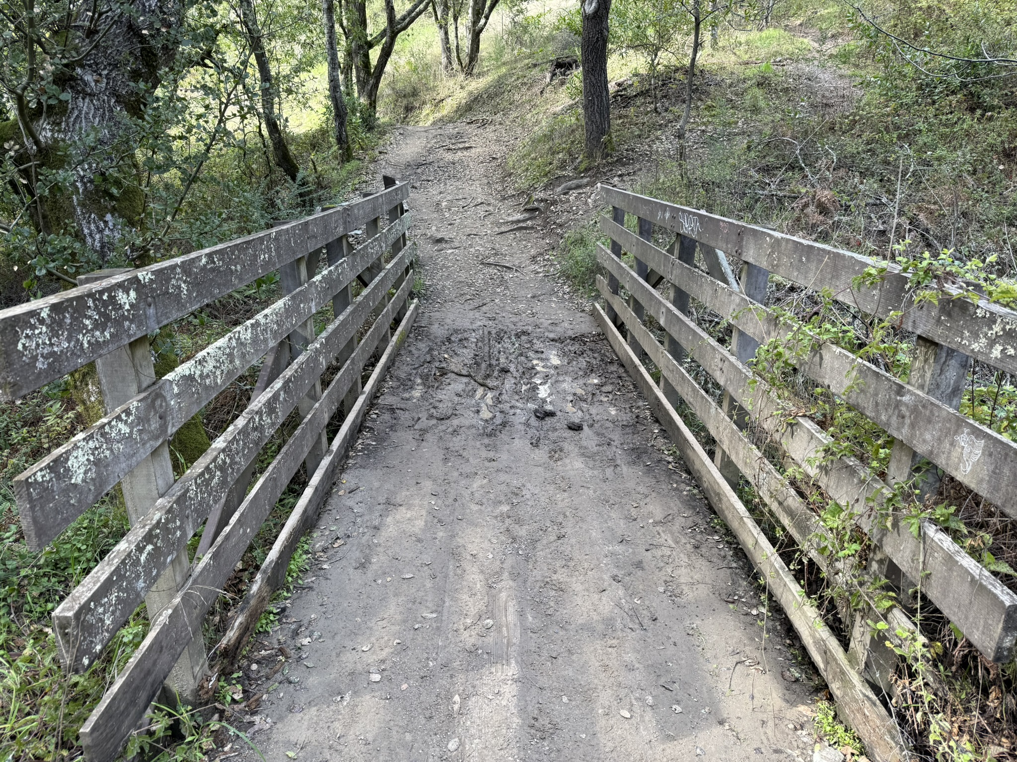 Sibley Volcanic Regional Preserve