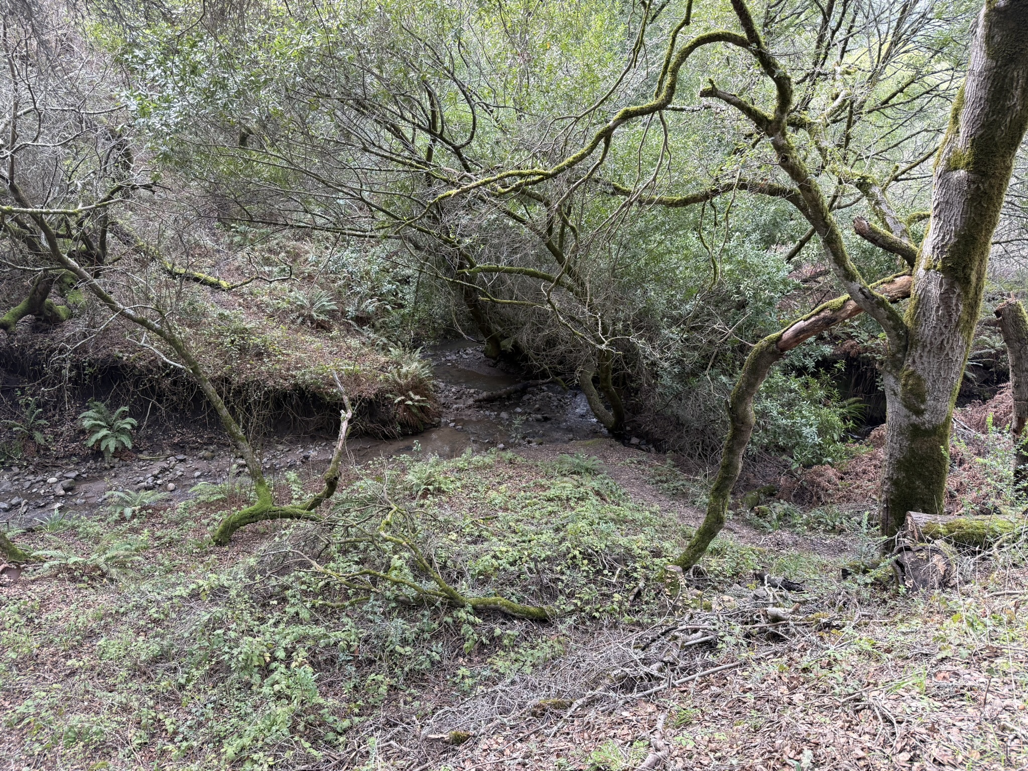 Sibley Volcanic Regional Preserve