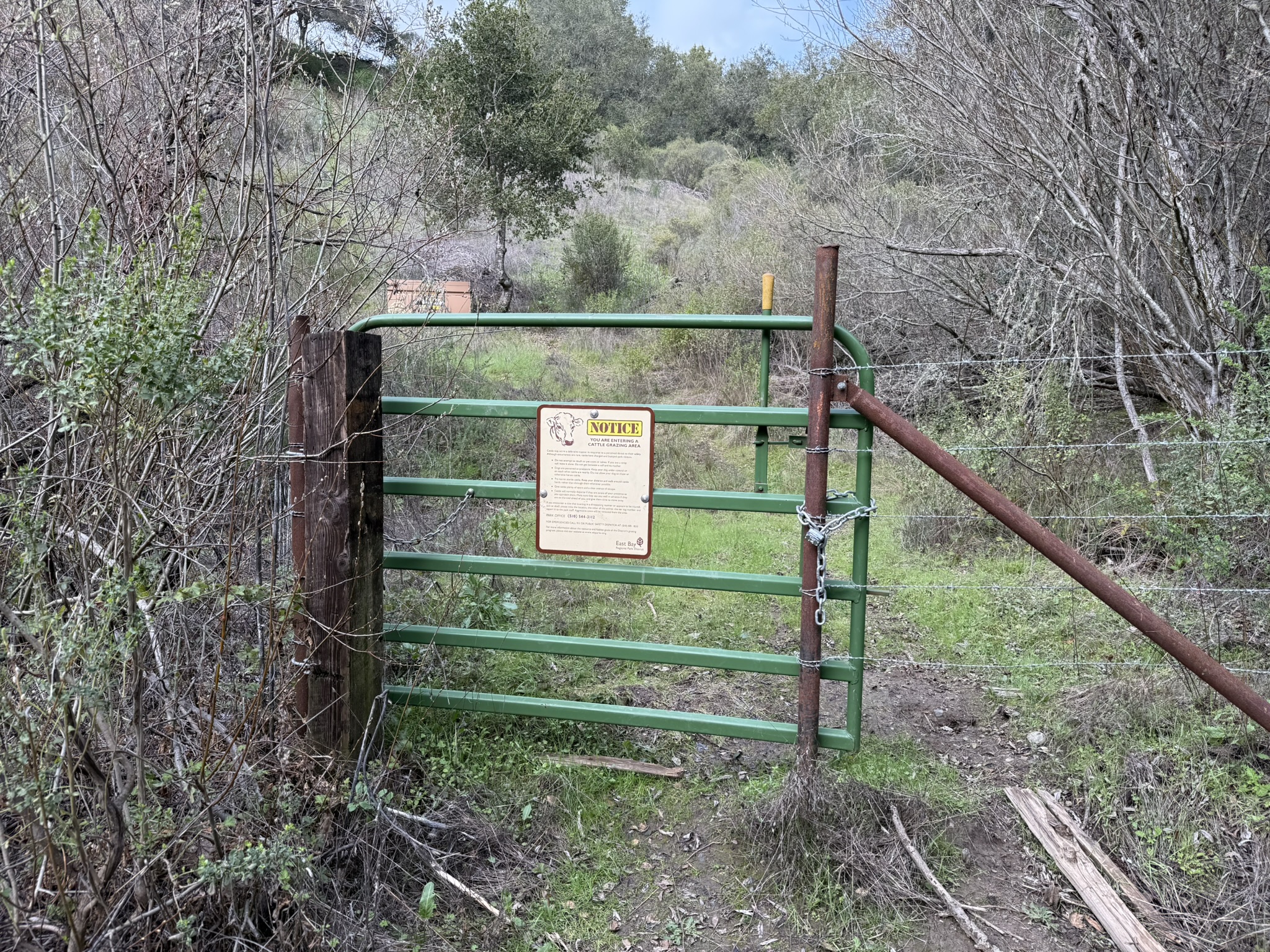 Sibley Volcanic Regional Preserve