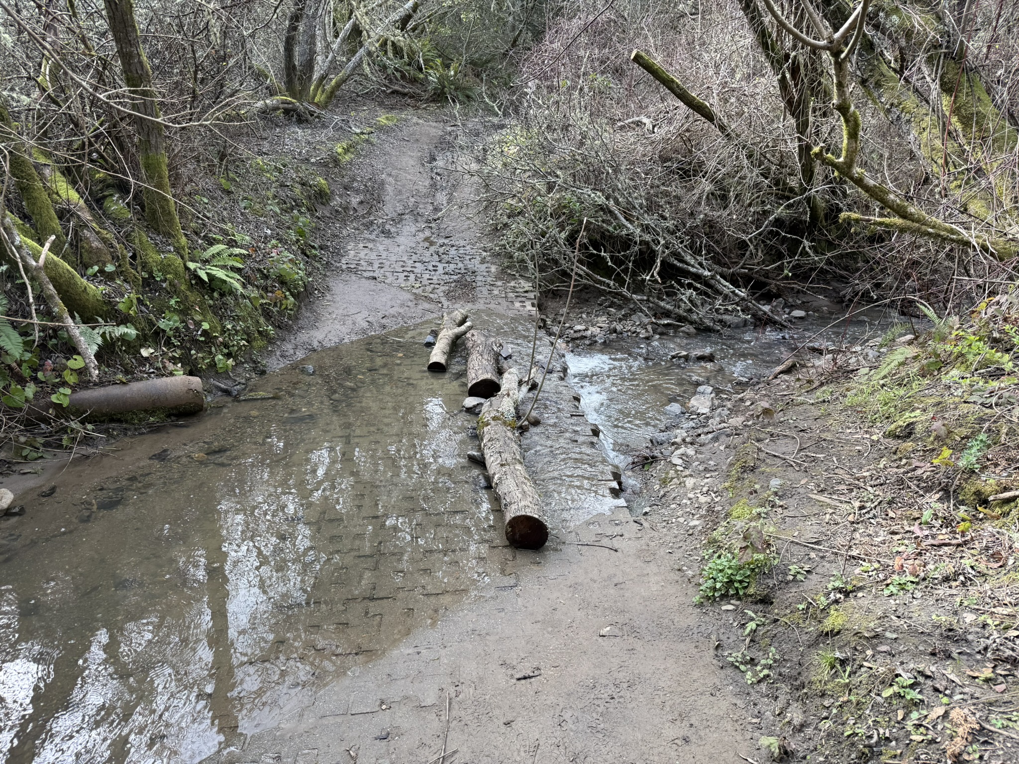 Sibley Volcanic Regional Preserve