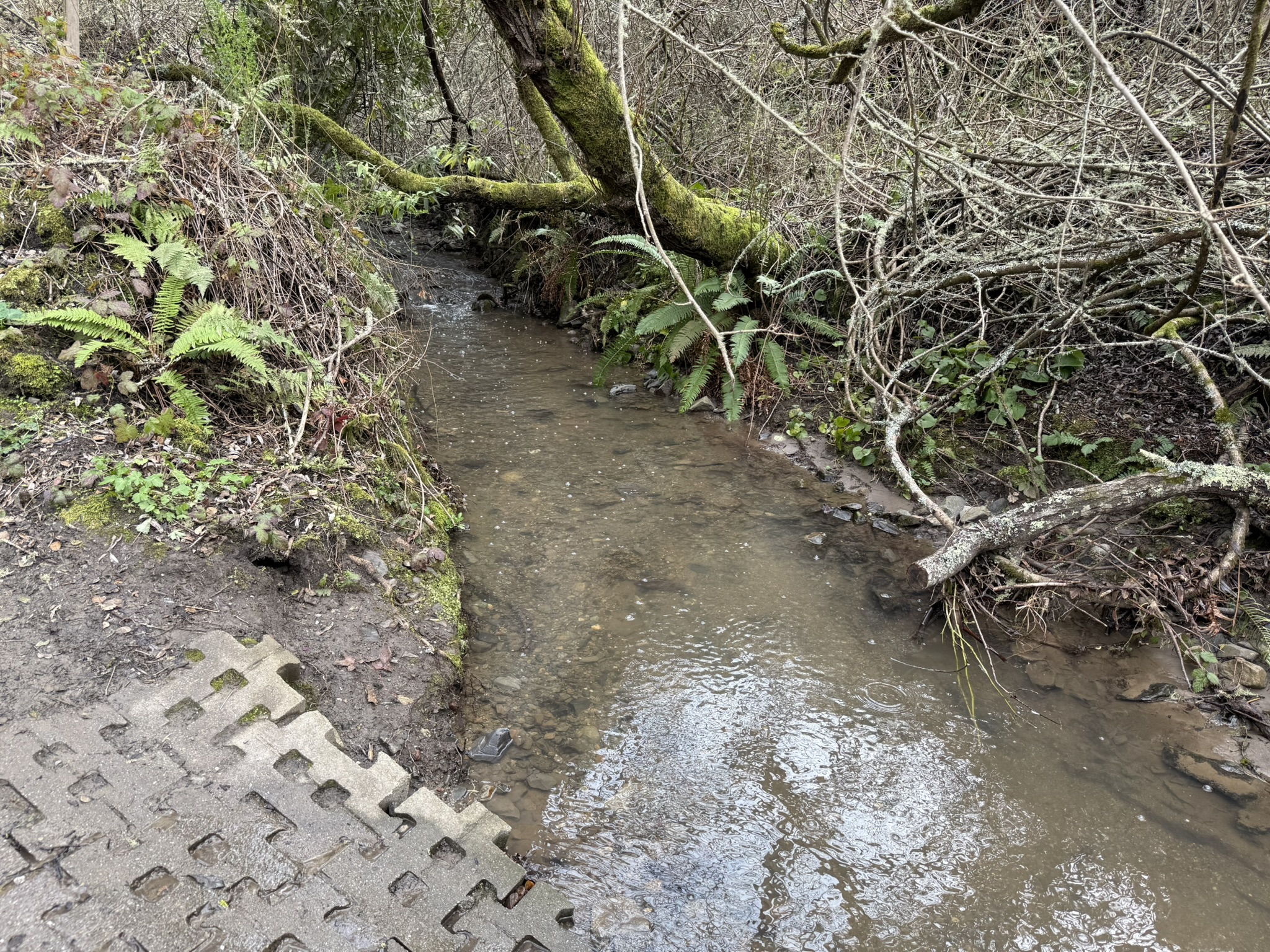 Sibley Volcanic Regional Preserve