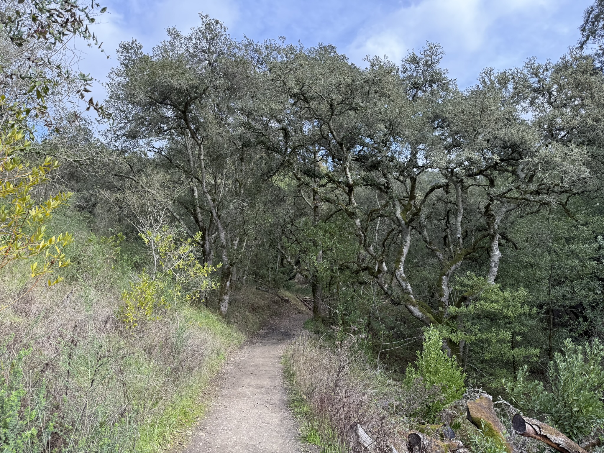 Sibley Volcanic Regional Preserve