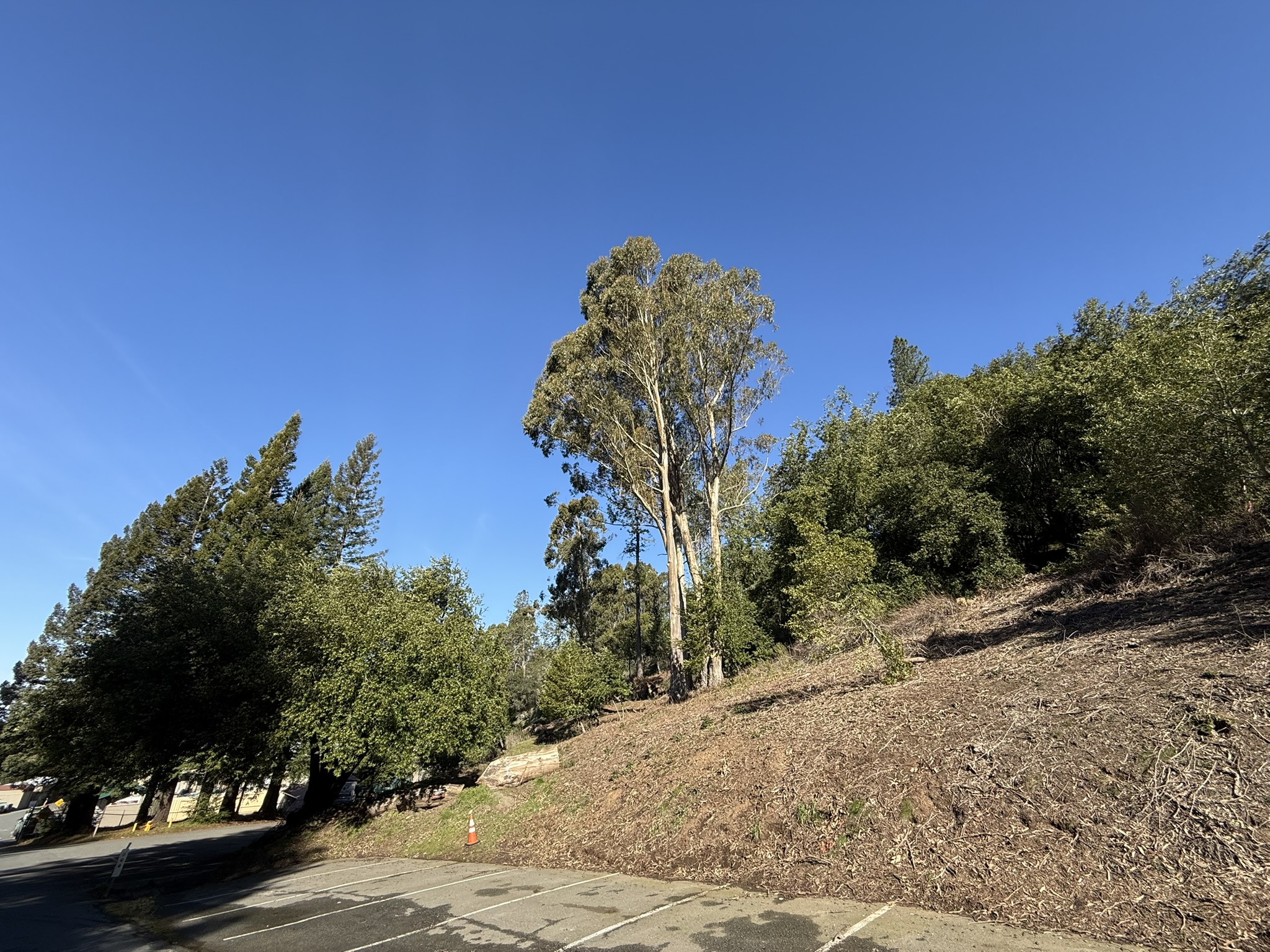 Tilden Regional Park East