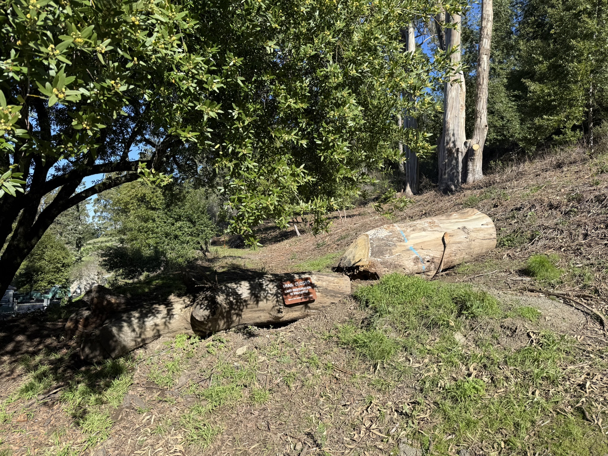 Tilden Regional Park East