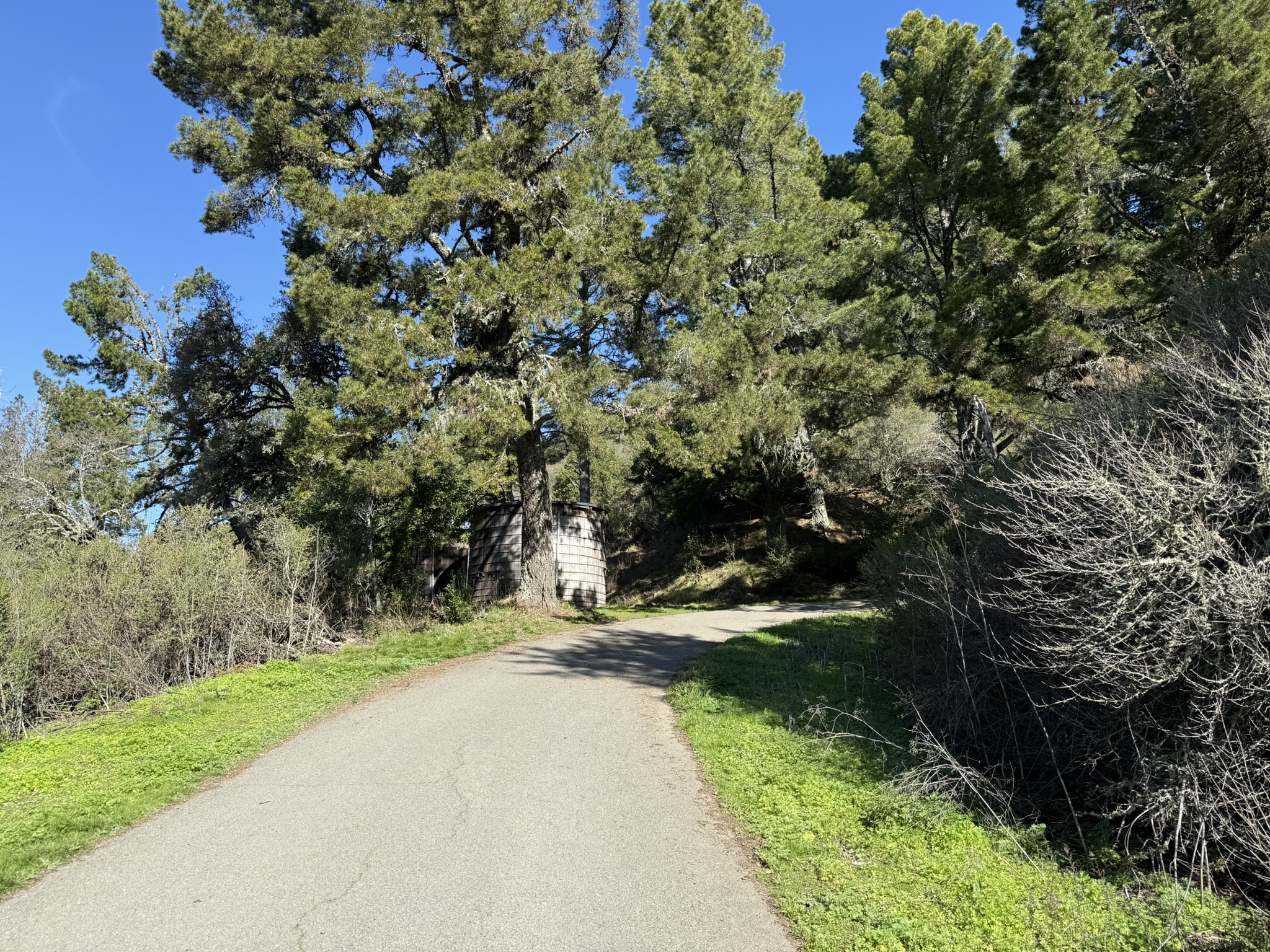 Tilden Regional Park East