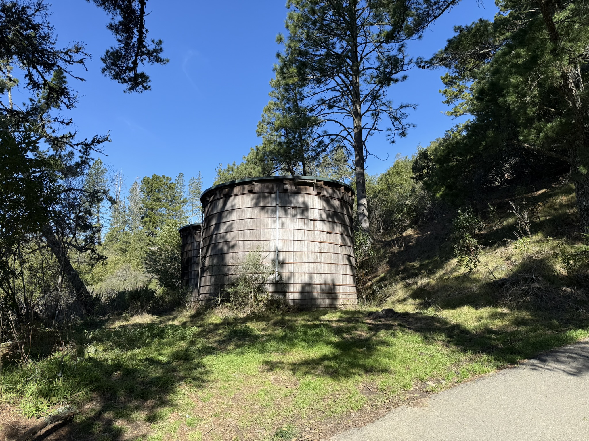 Tilden Regional Park East