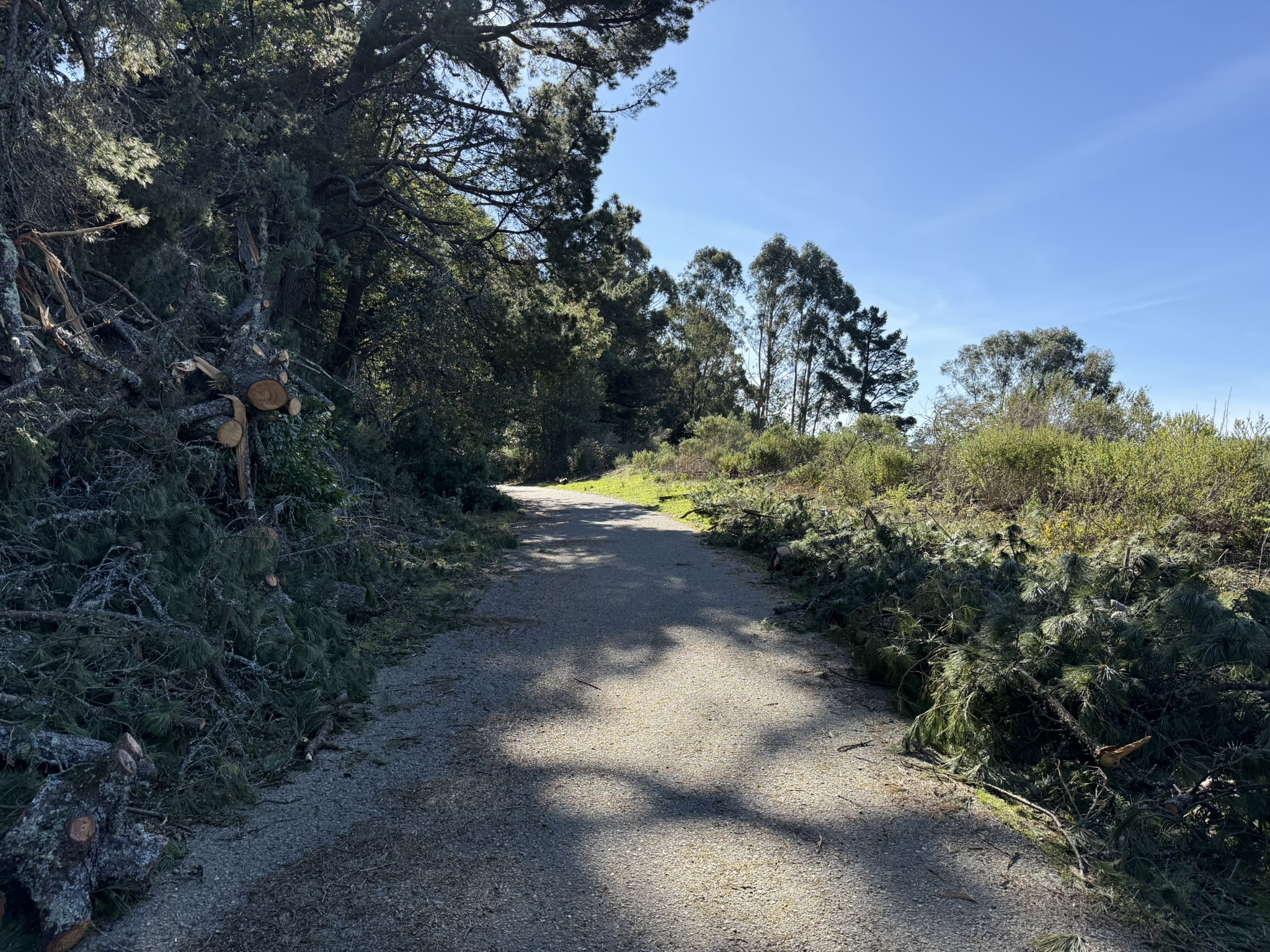 Tilden Regional Park East