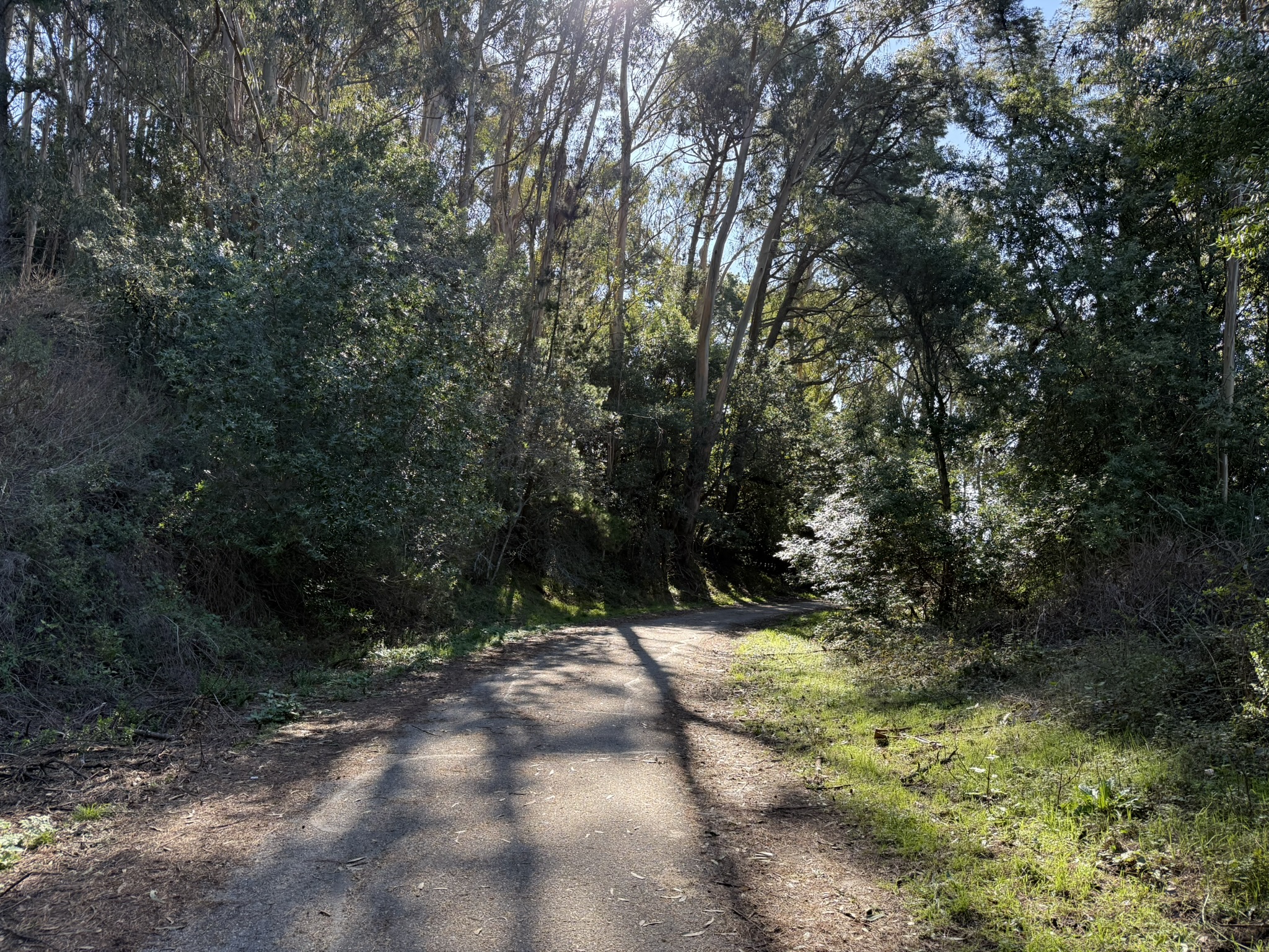 Tilden Regional Park East