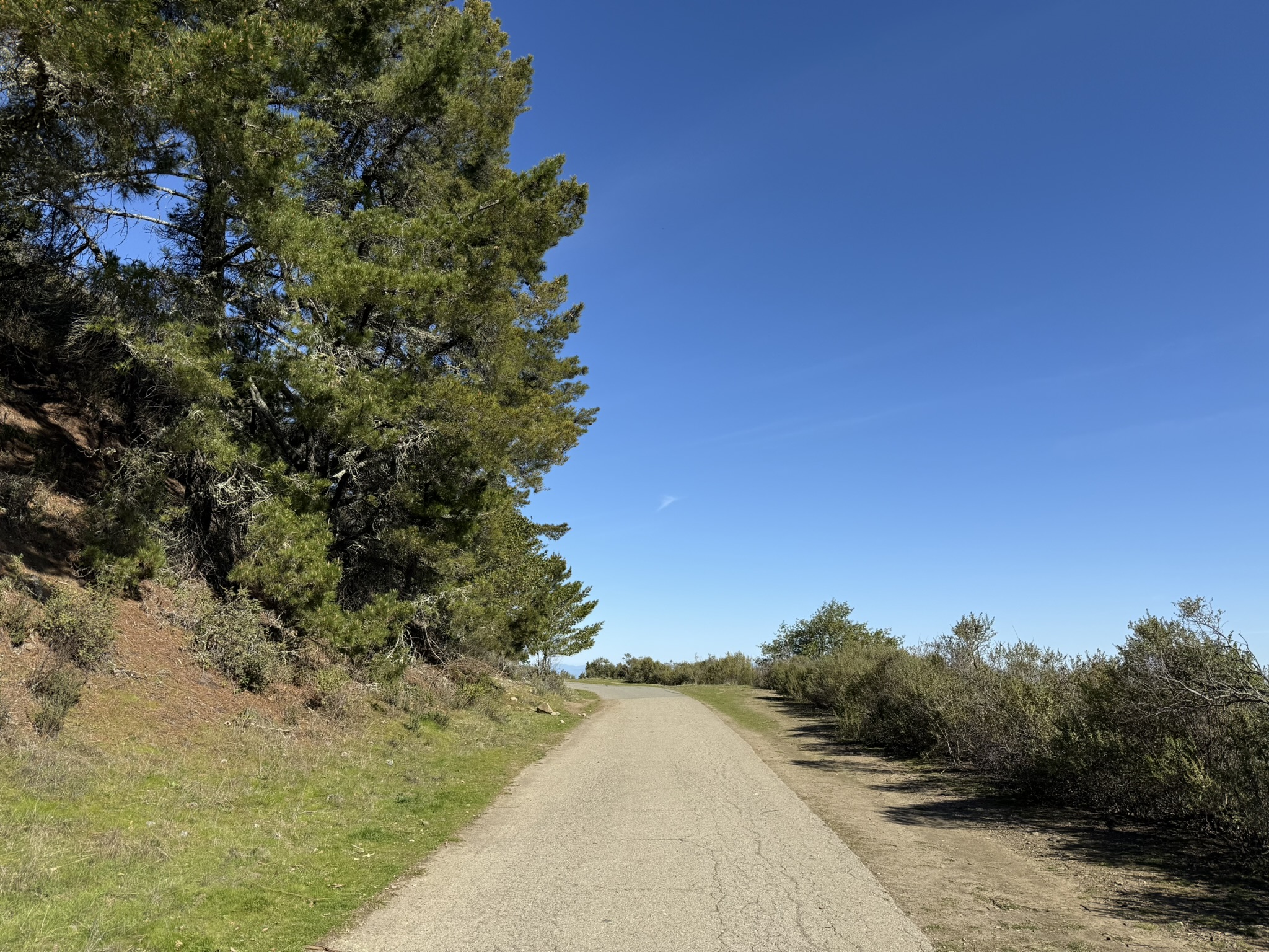 Tilden Regional Park East