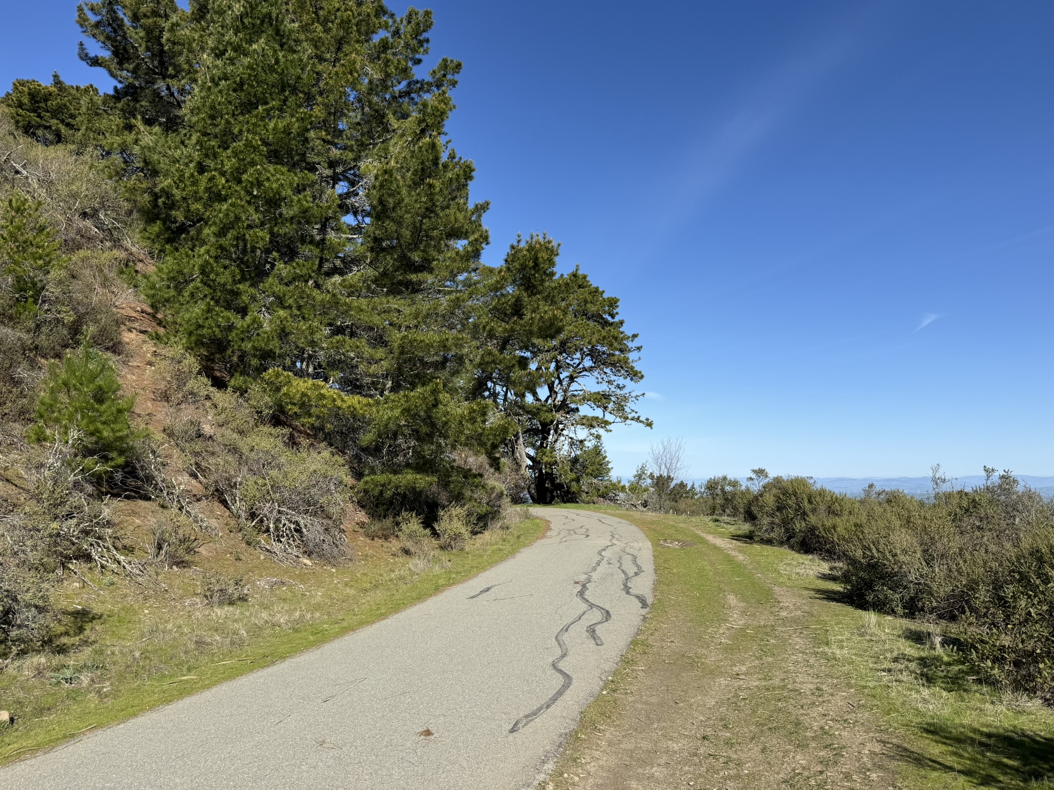 Tilden Regional Park East