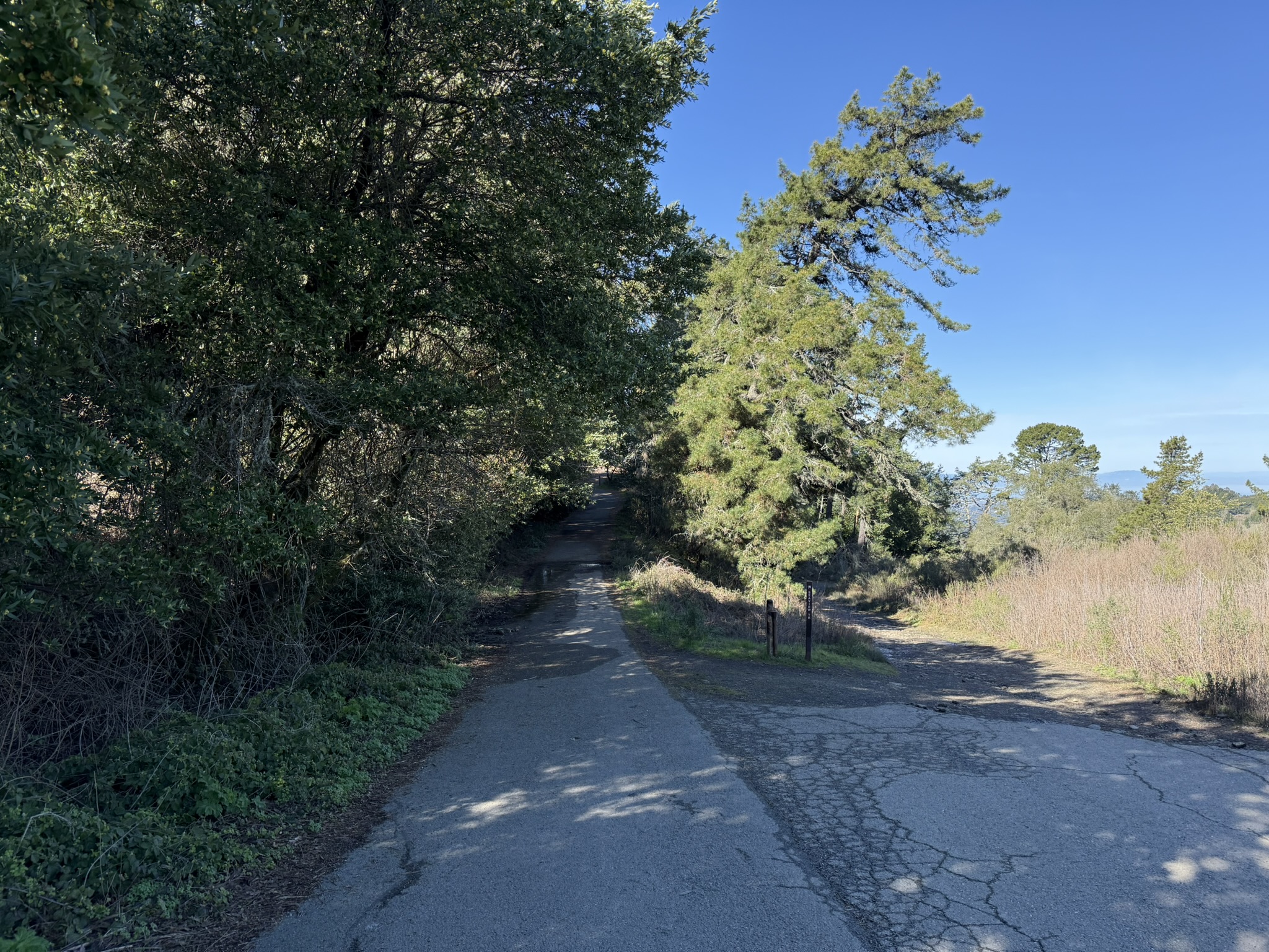 Tilden Regional Park East