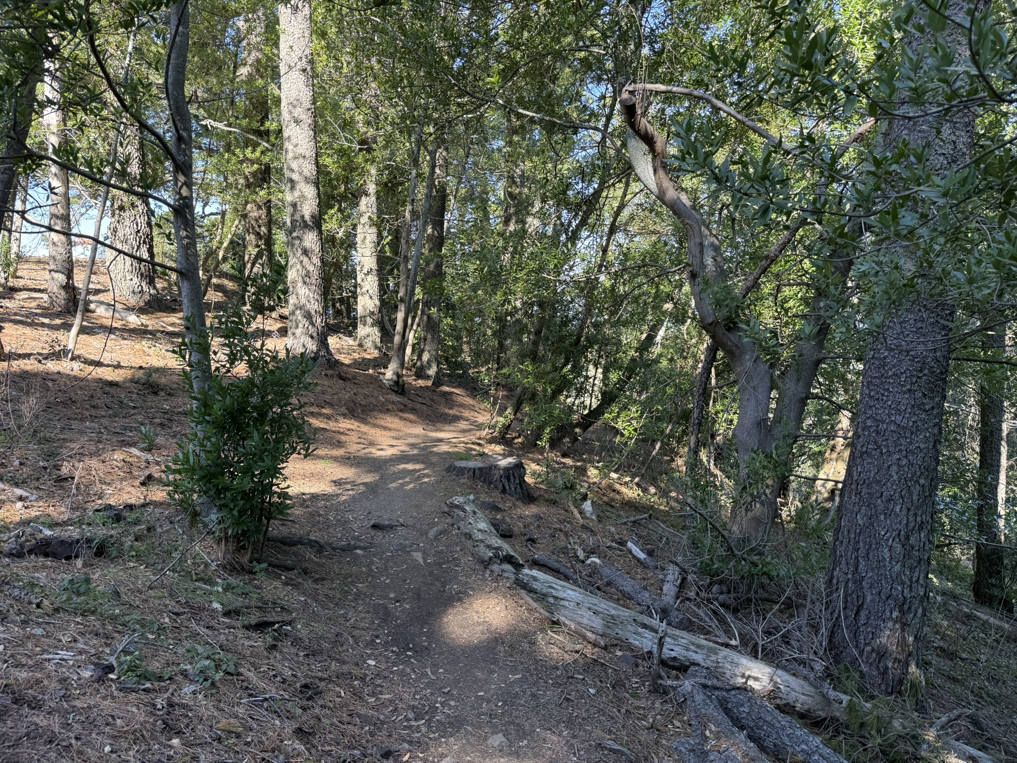 Tilden Regional Park East