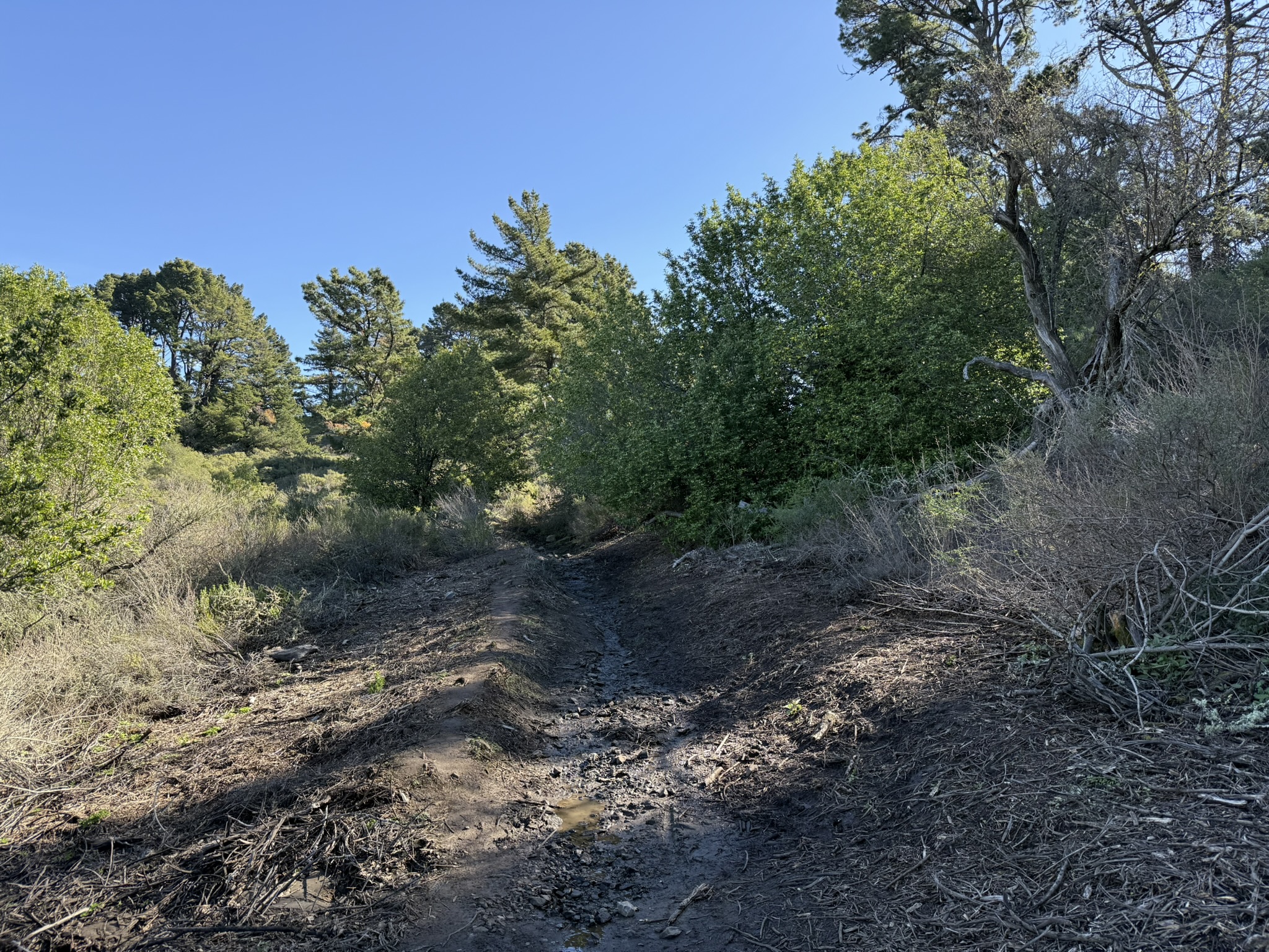 Tilden Regional Park East