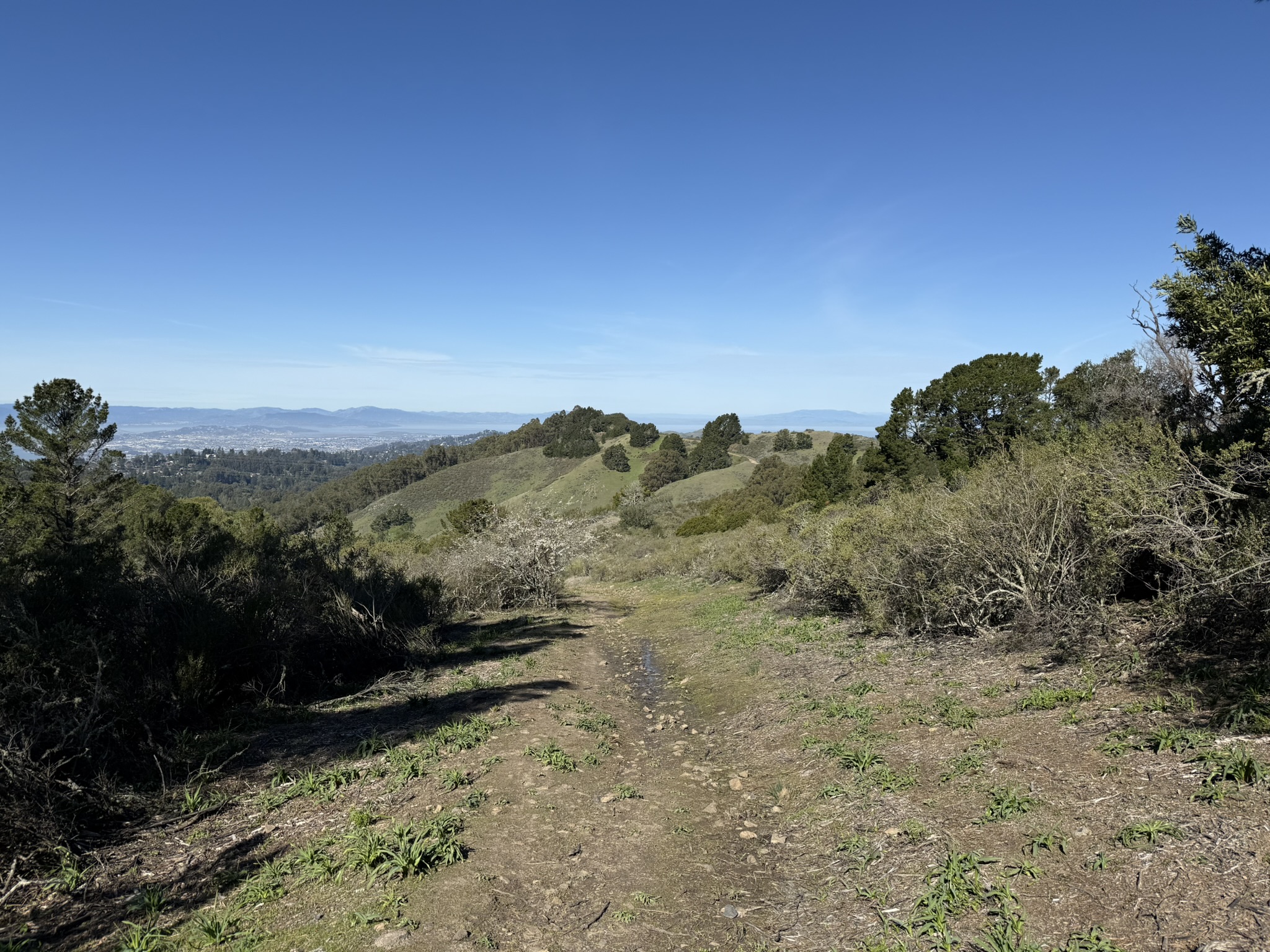 Tilden Regional Park East