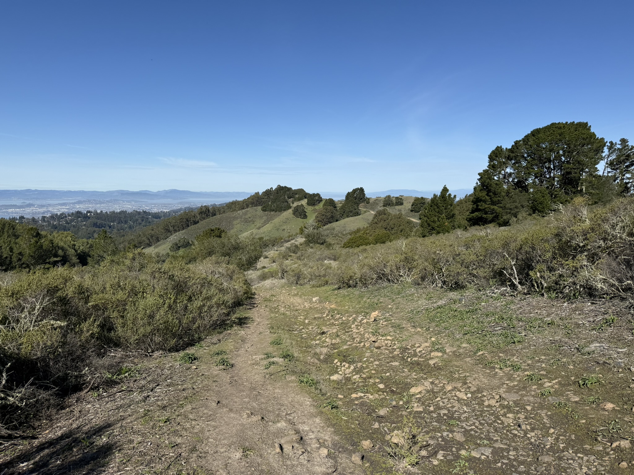 Tilden Regional Park East