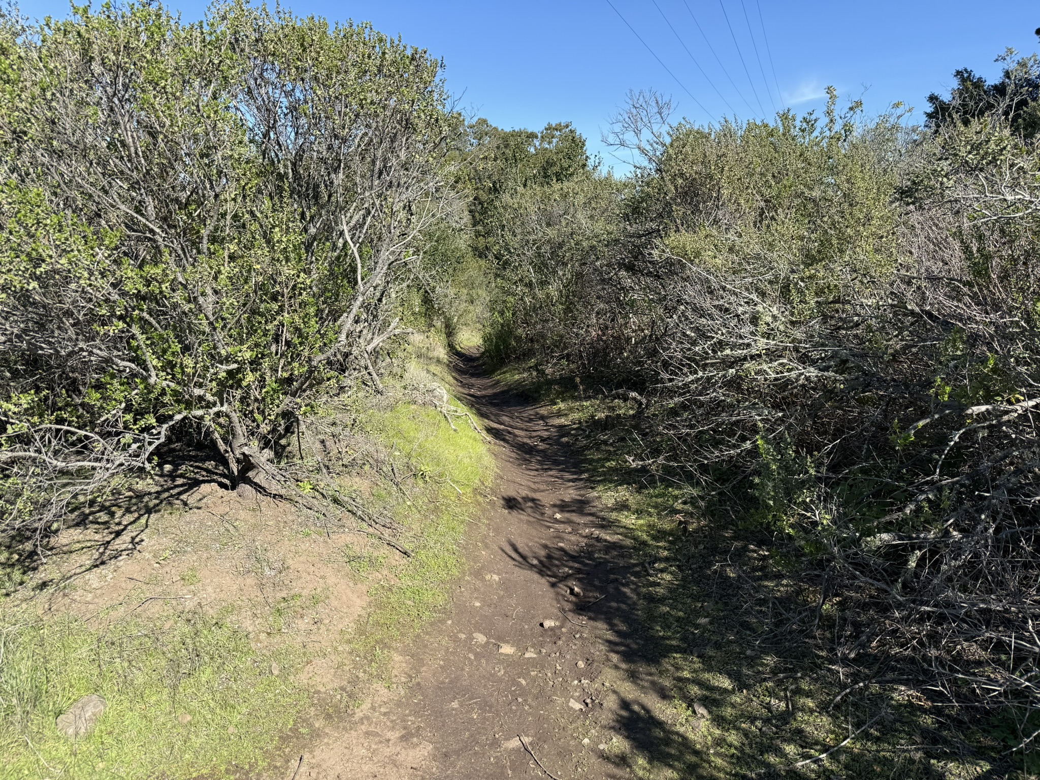 Tilden Regional Park East