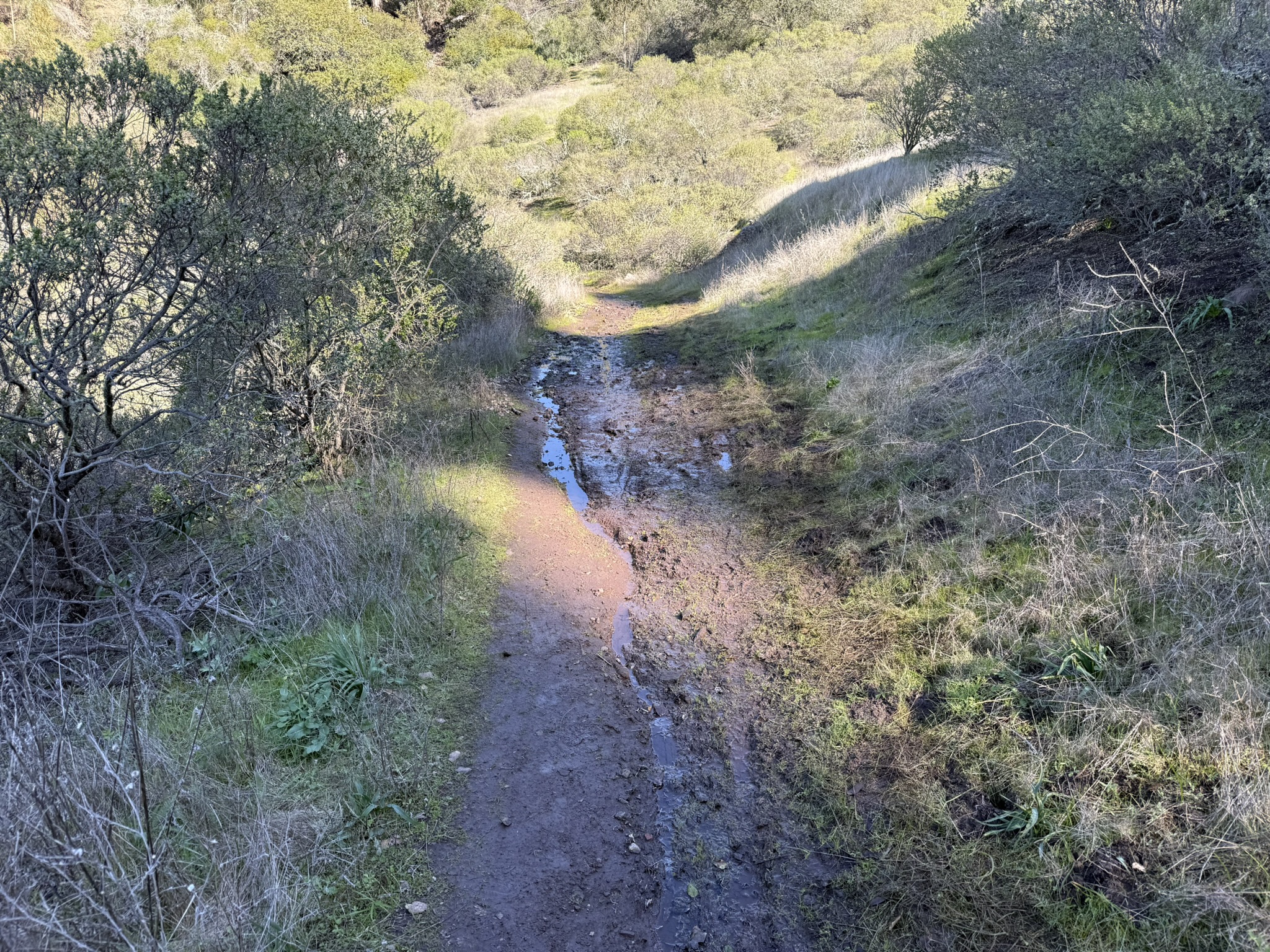 Tilden Regional Park East