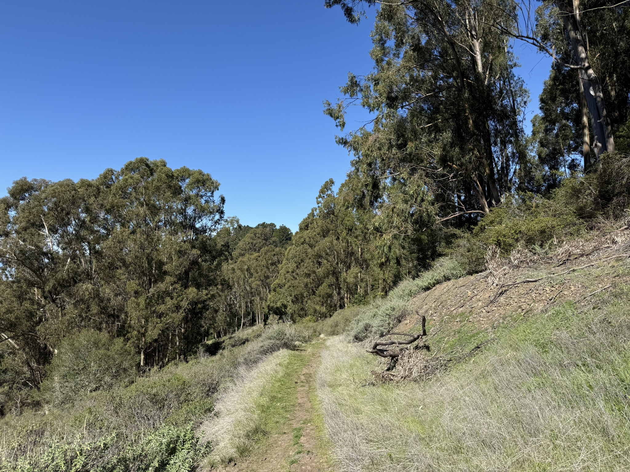 Tilden Regional Park East