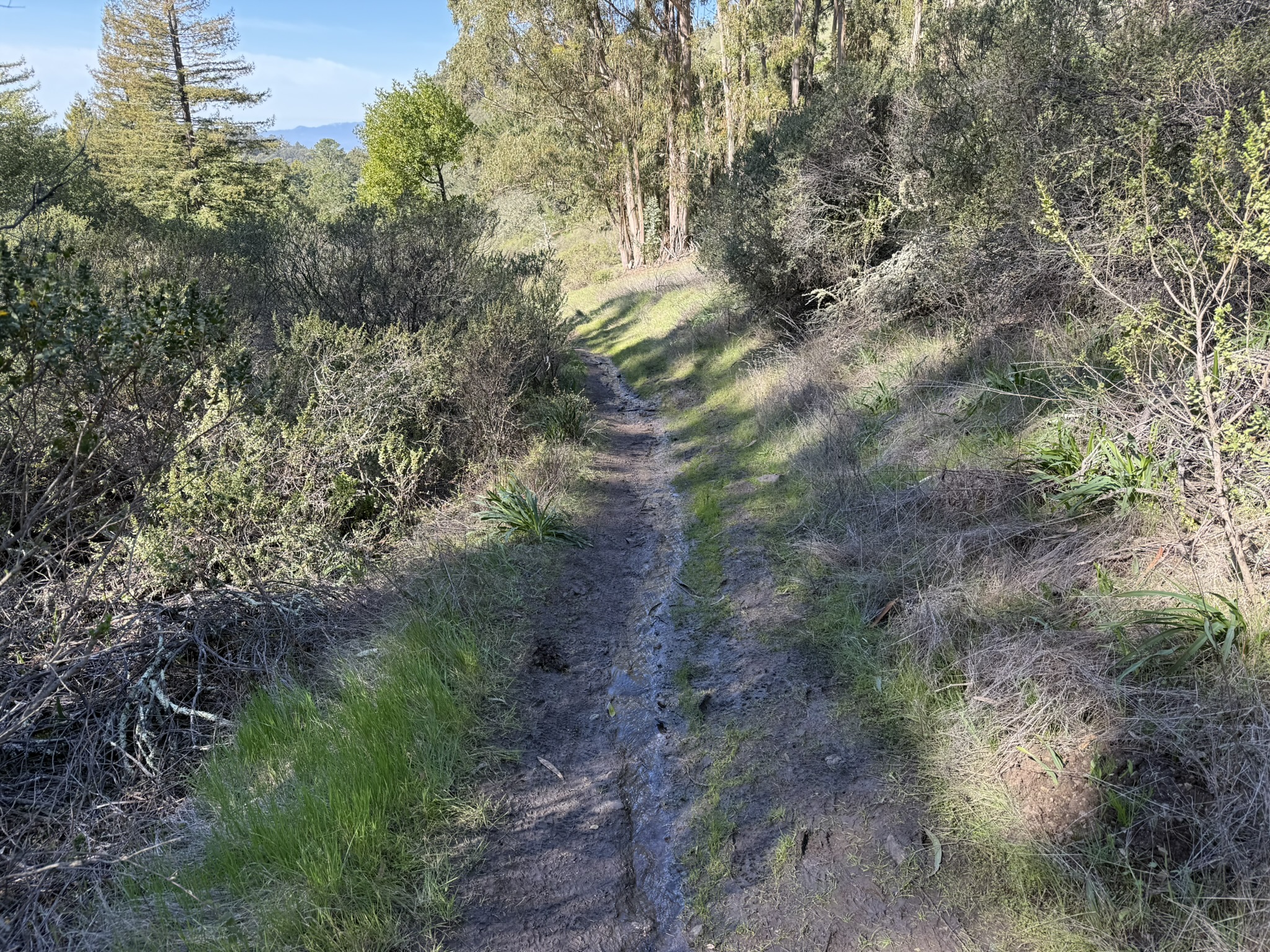 Tilden Regional Park East