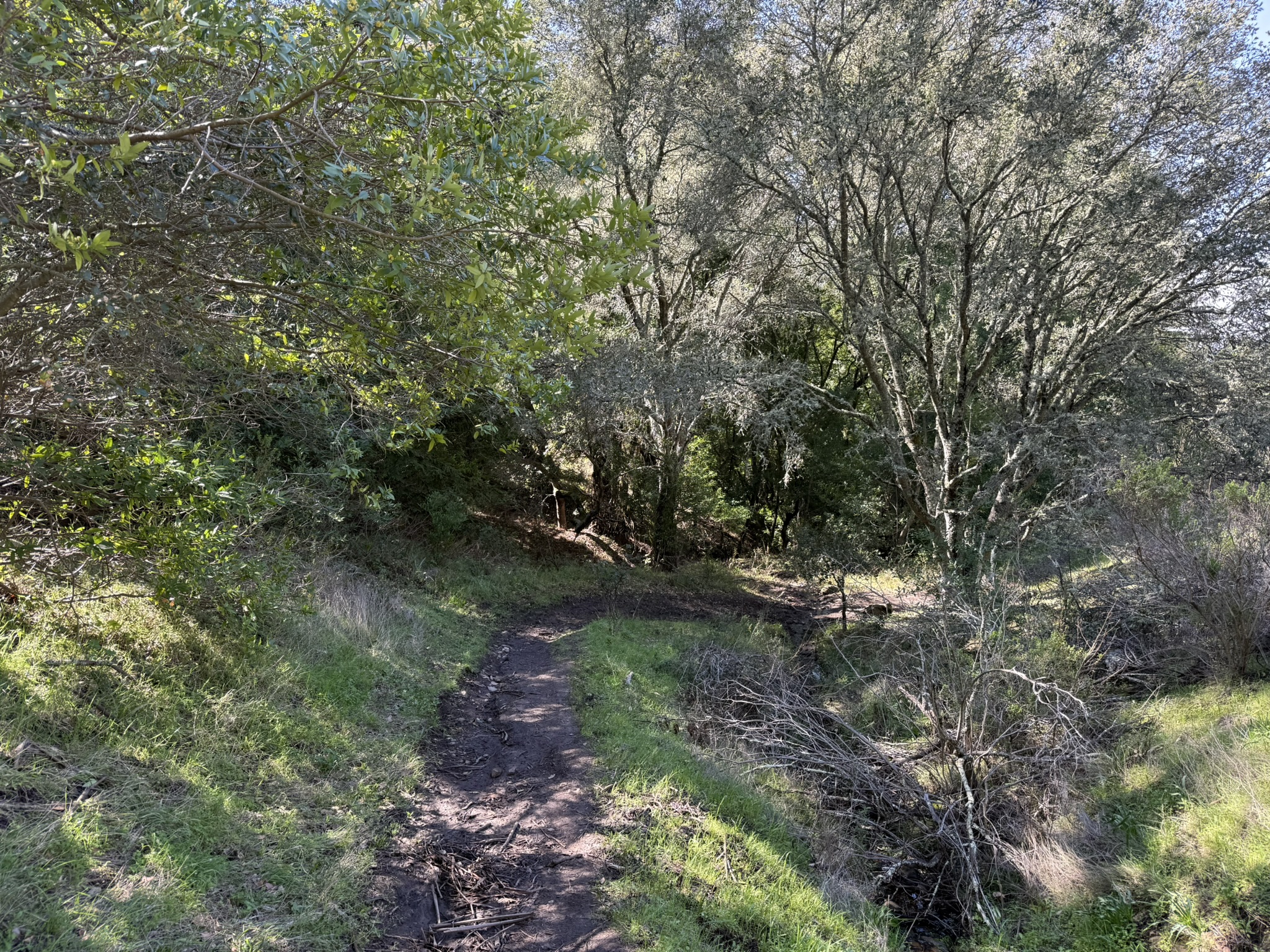 Tilden Regional Park East