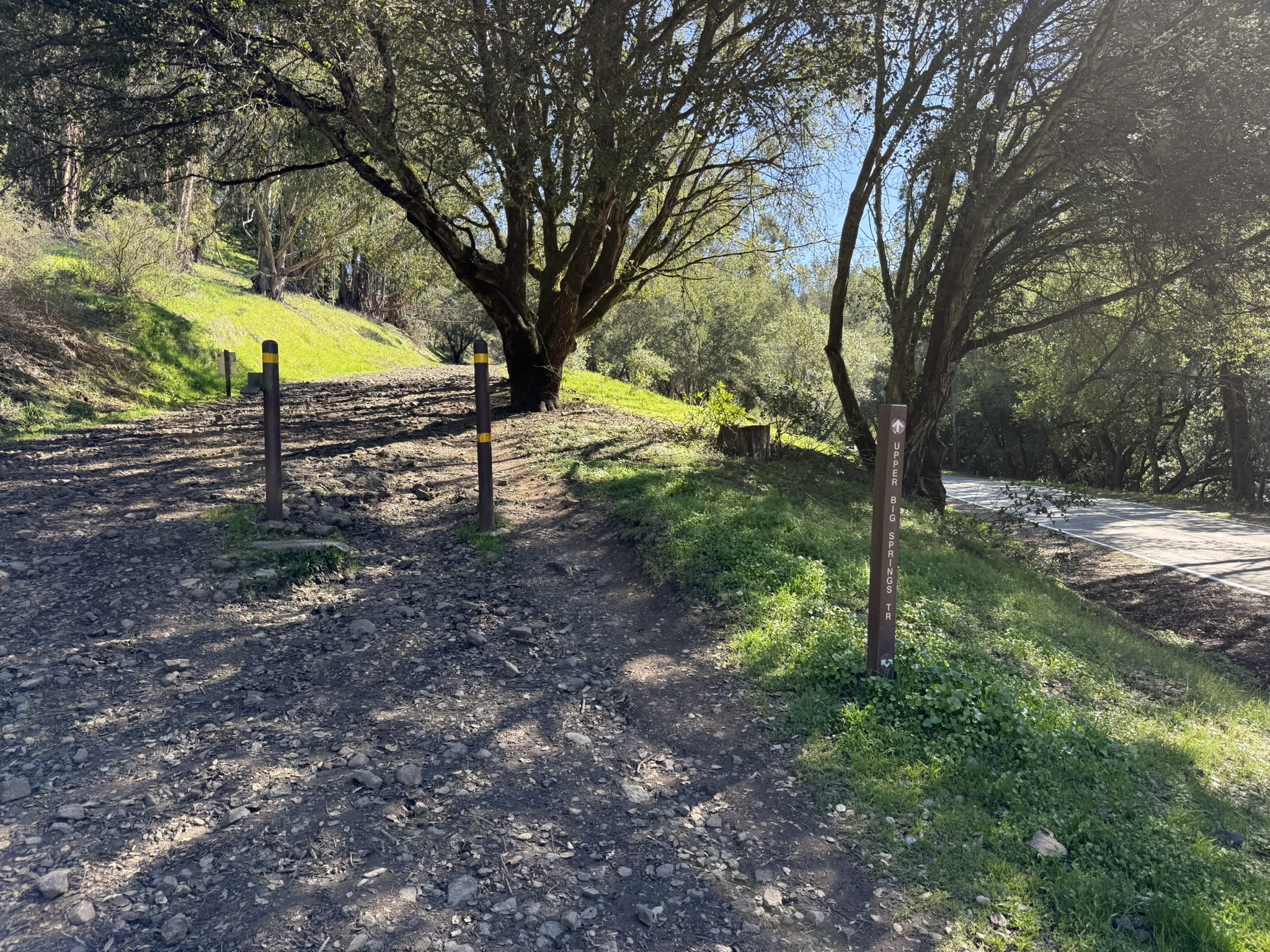 Tilden Regional Park East